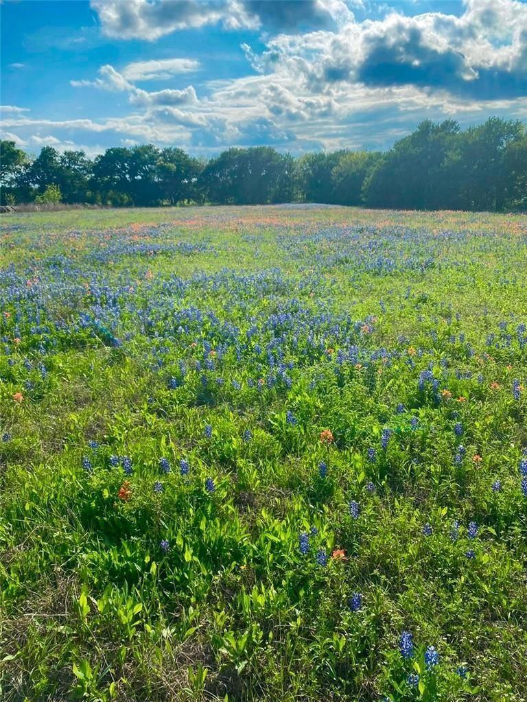 main property photo 0