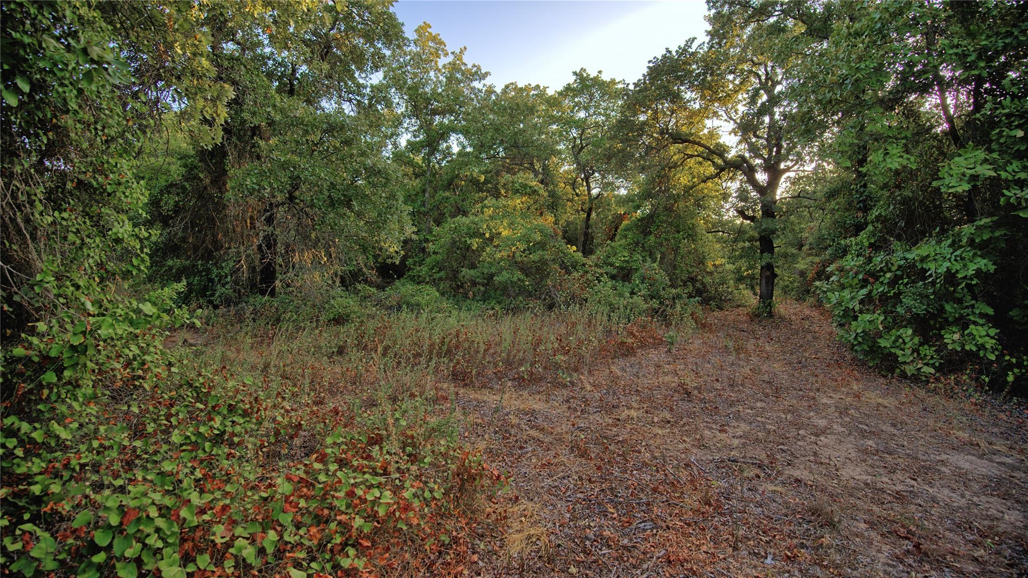 main property photo 11