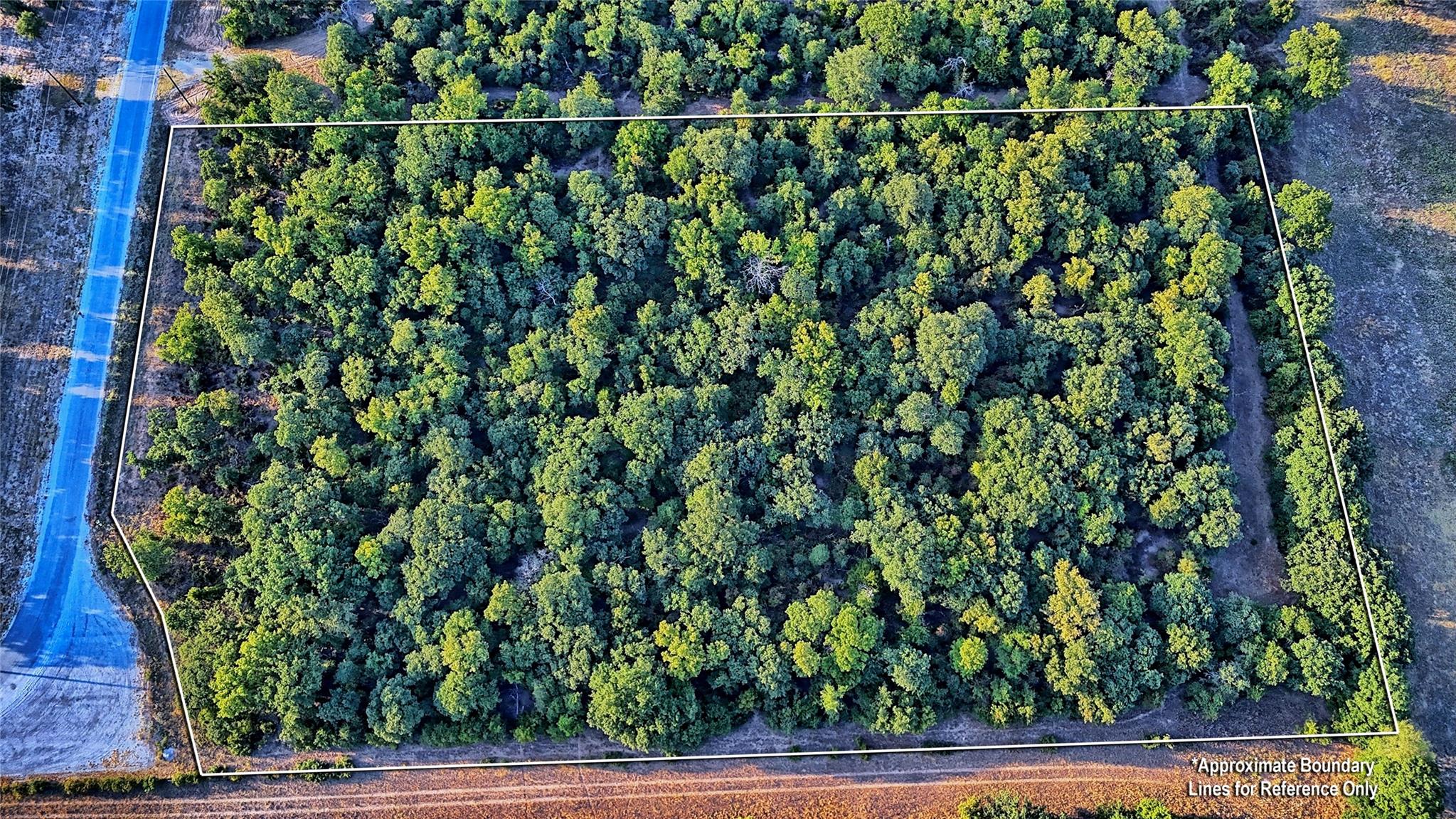 main property photo 13