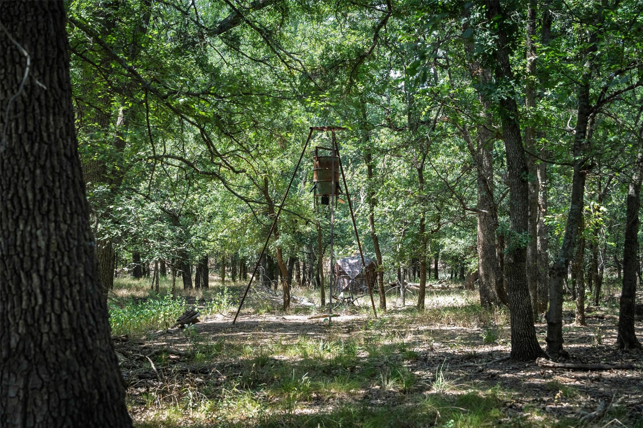 main property photo 36