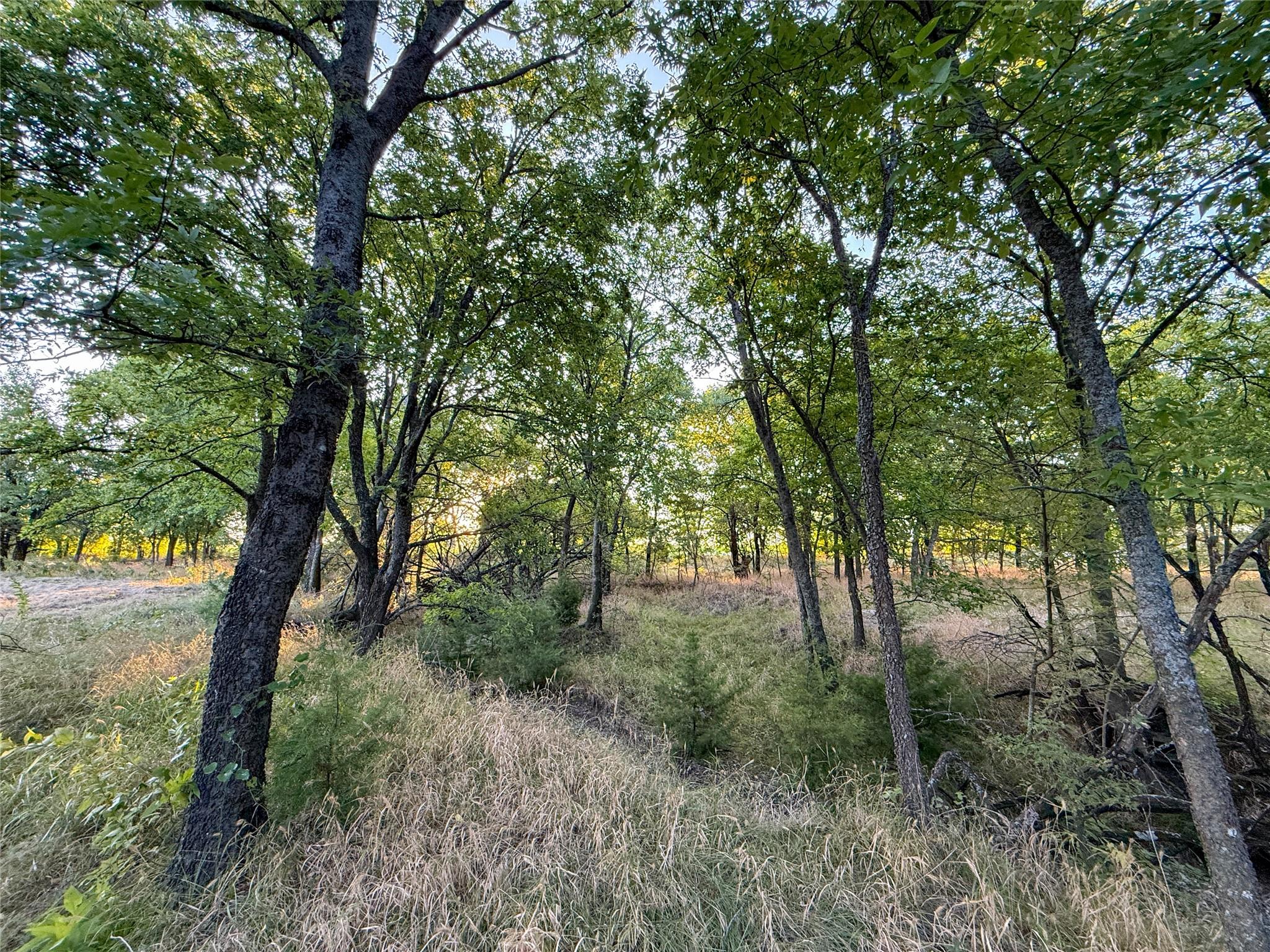 main property photo 27