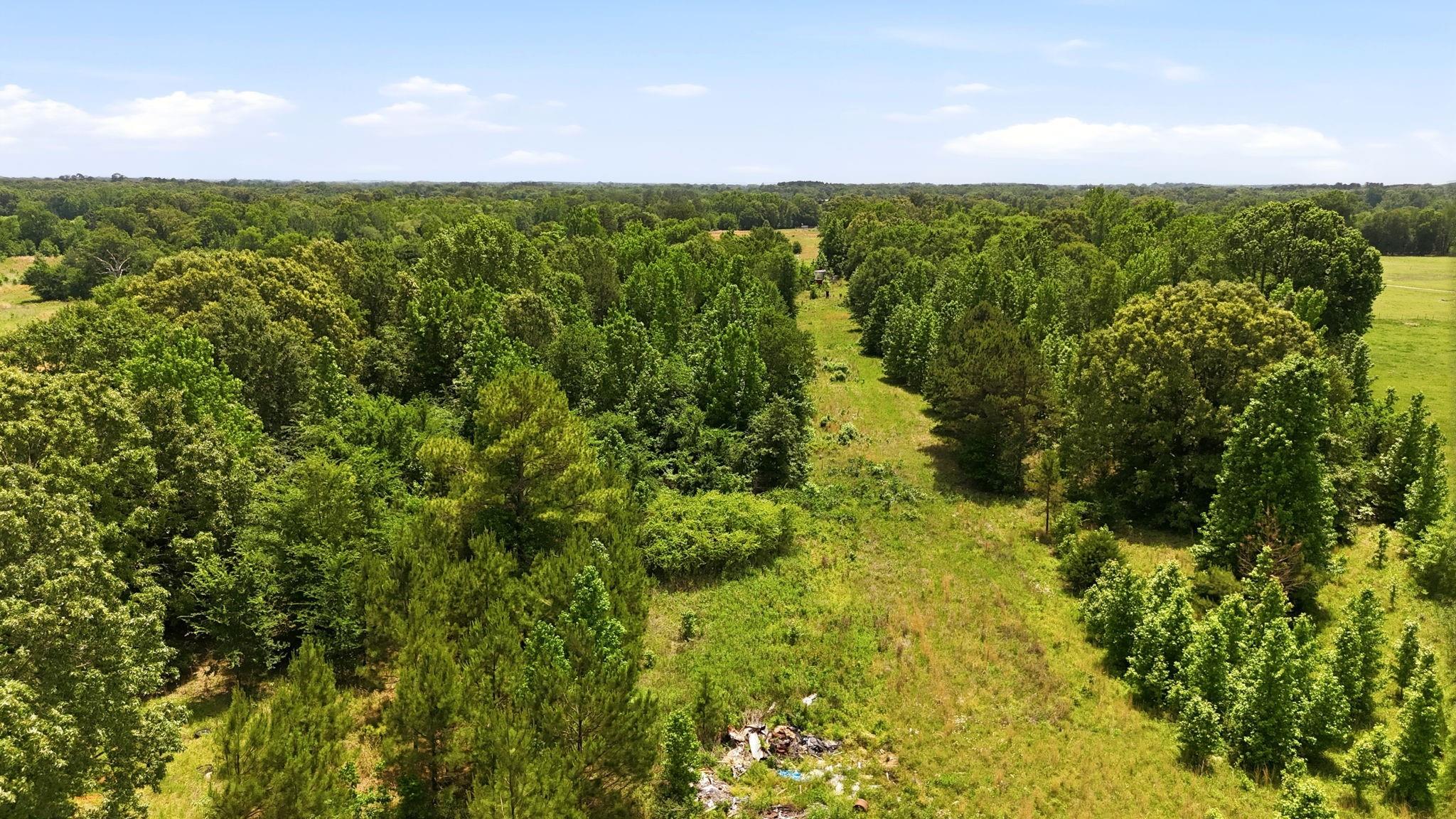 main property photo 11