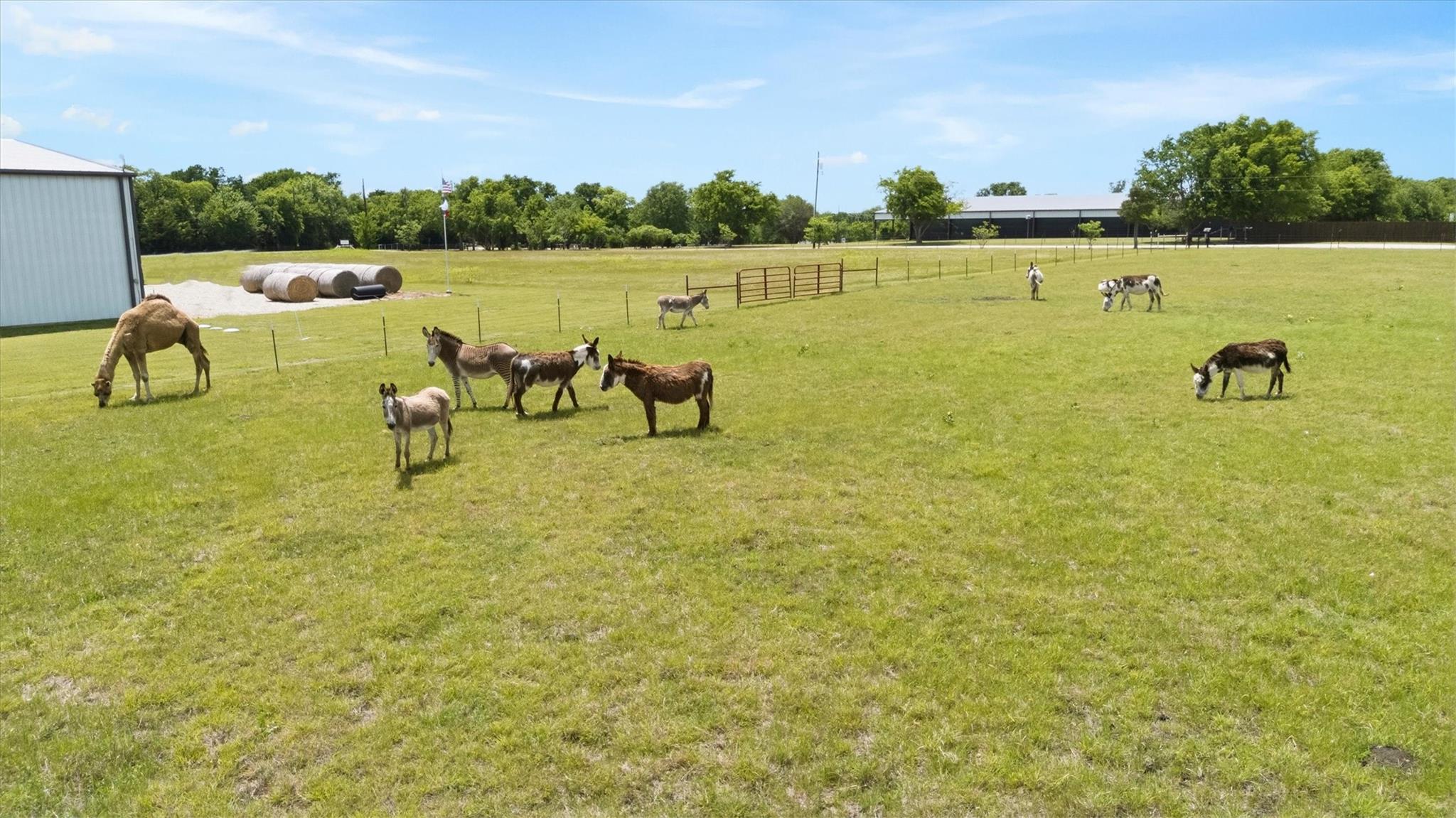 main property photo 23