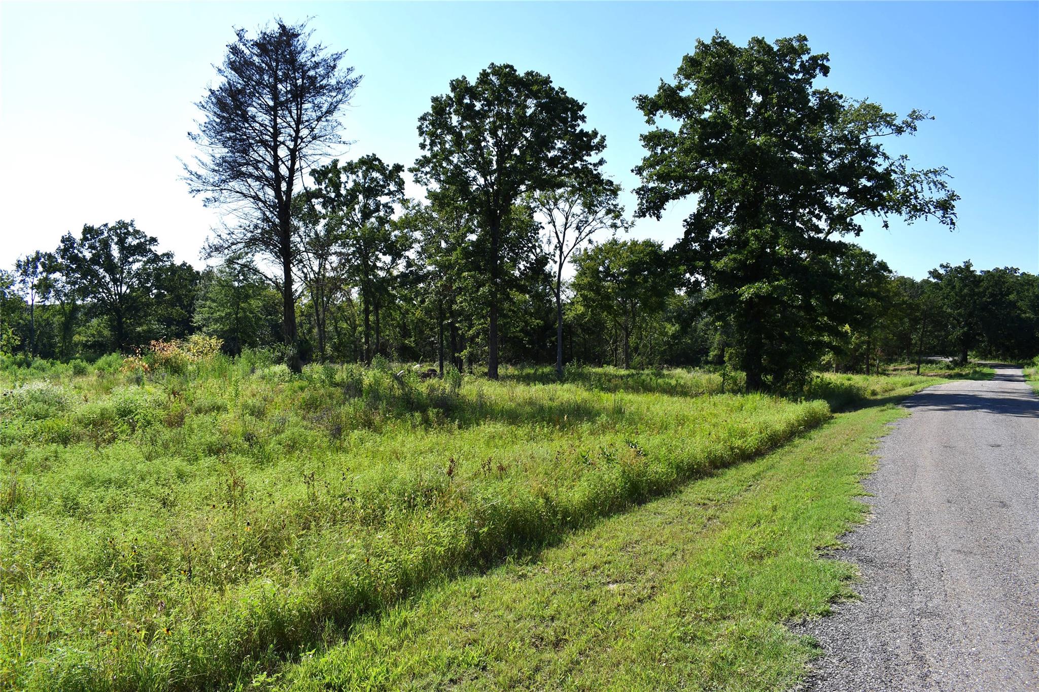 main property photo 9