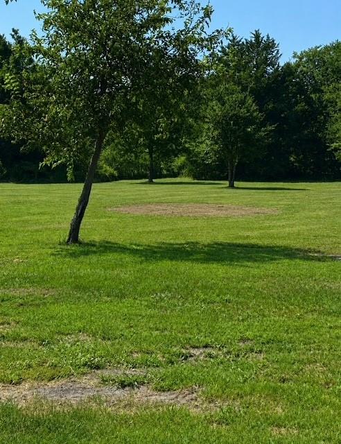 main property photo 25