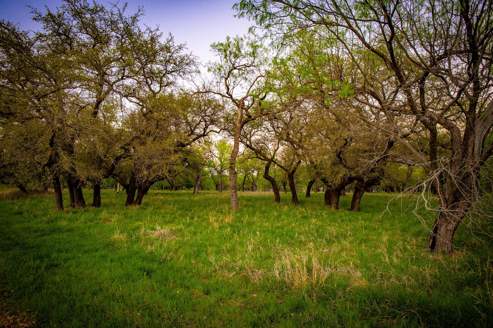main property photo 6