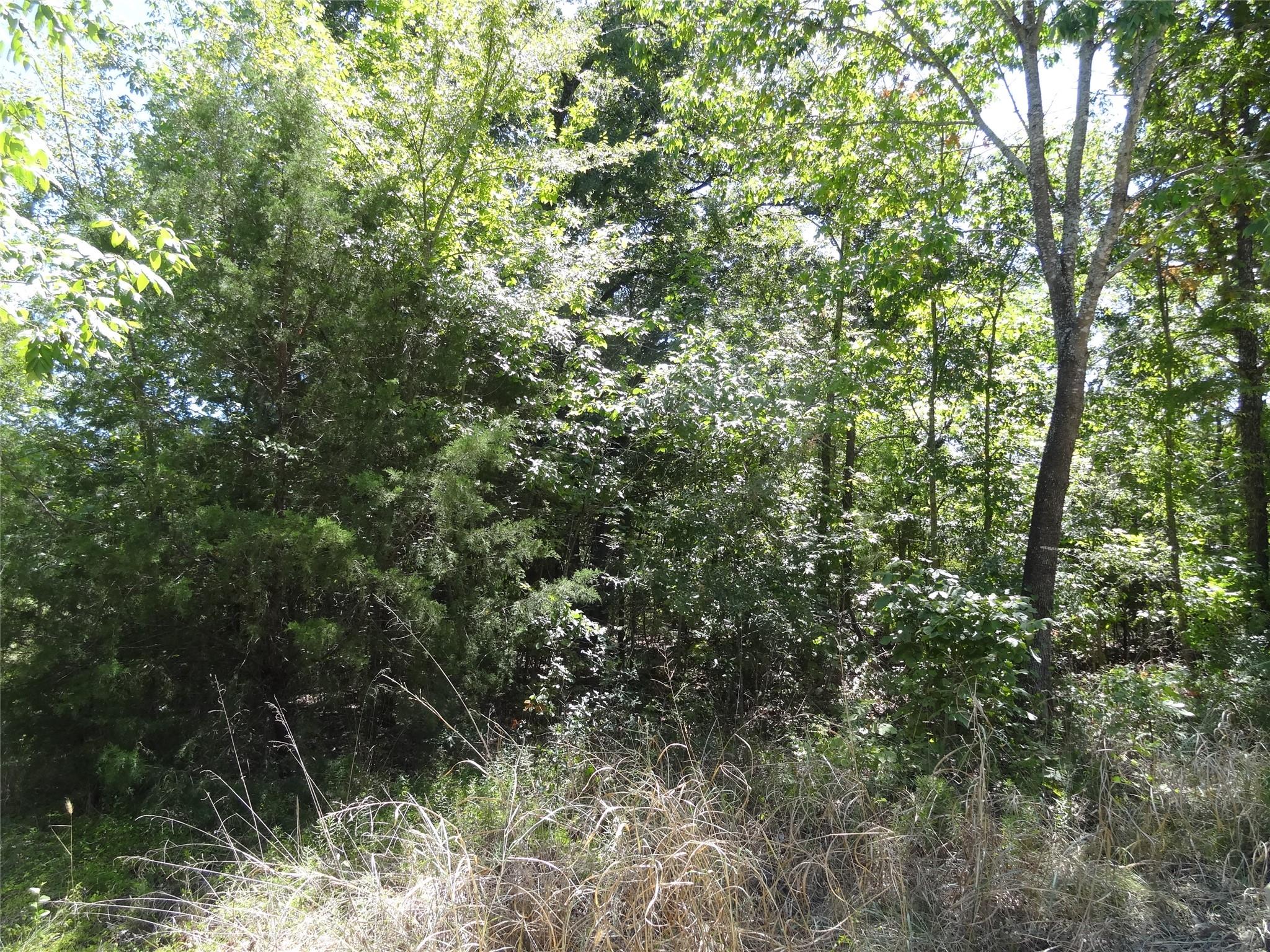 main property photo 12