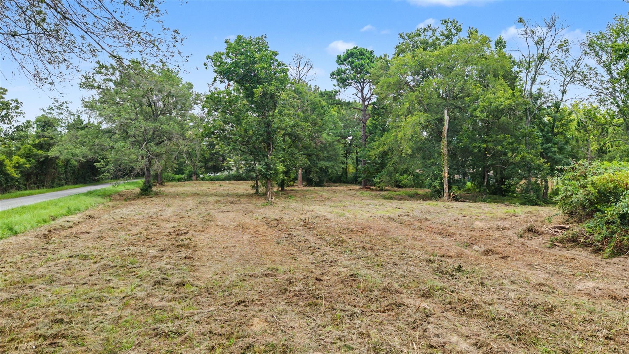 main property photo 14