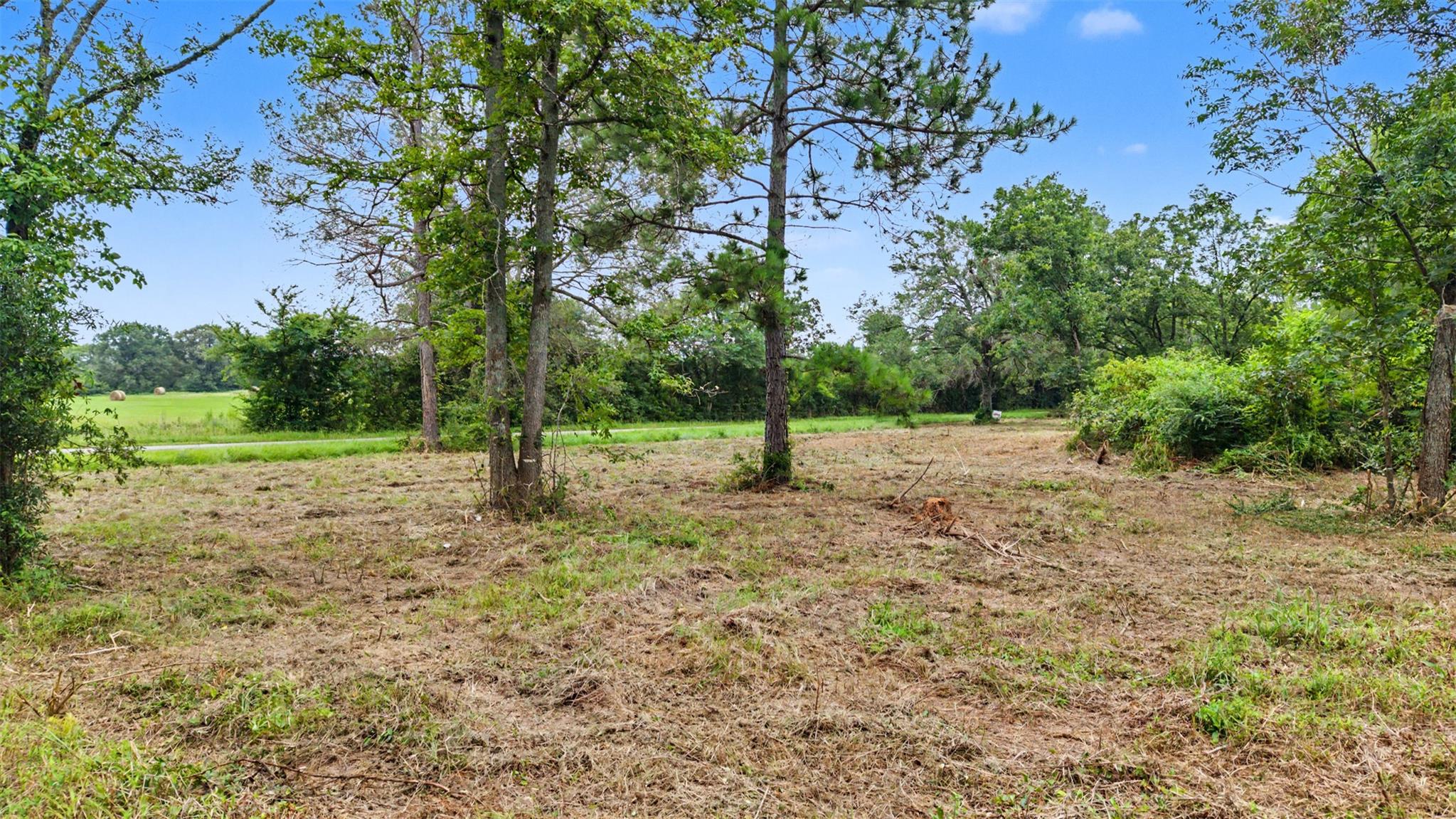 main property photo 6