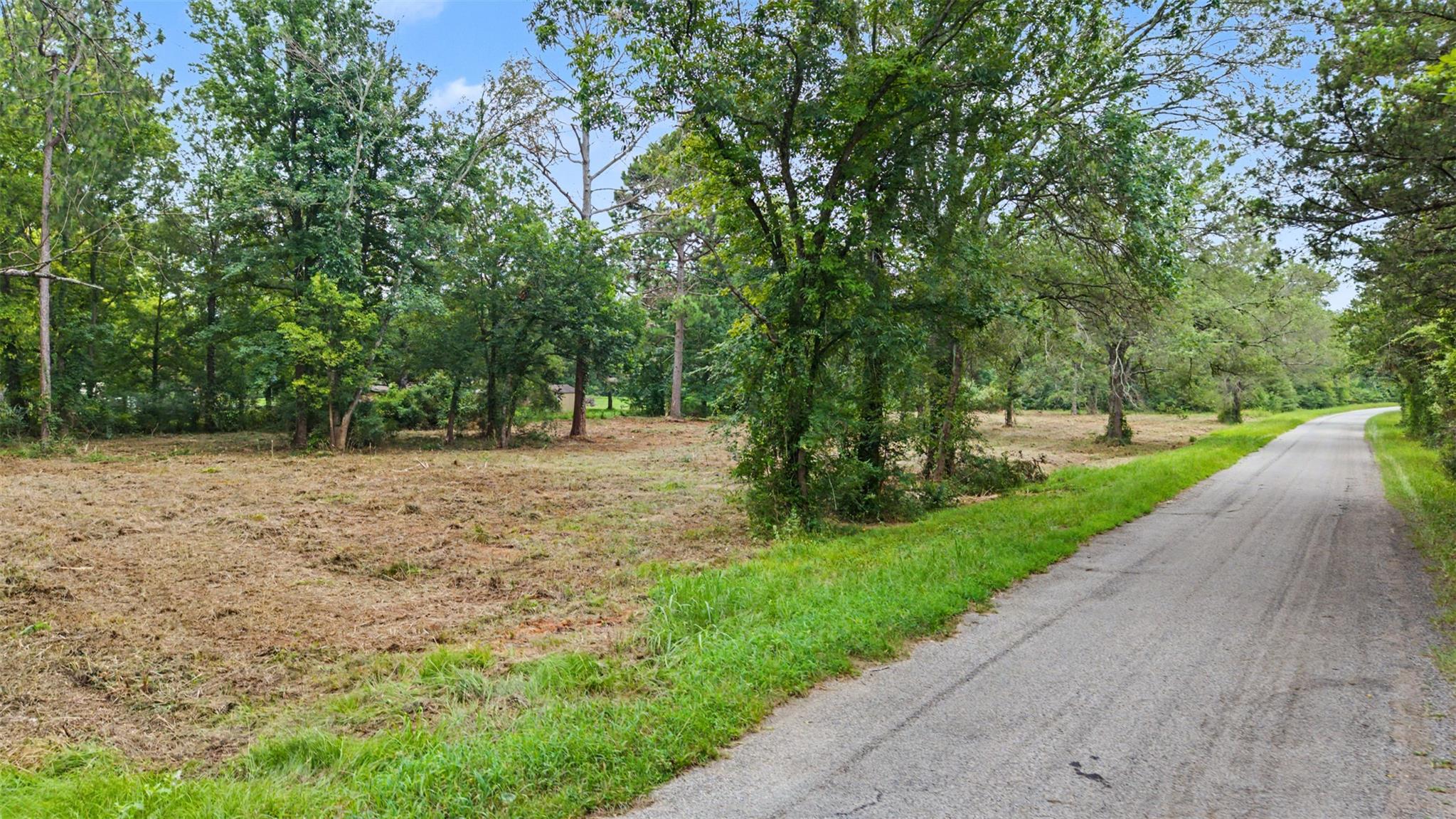 main property photo 8