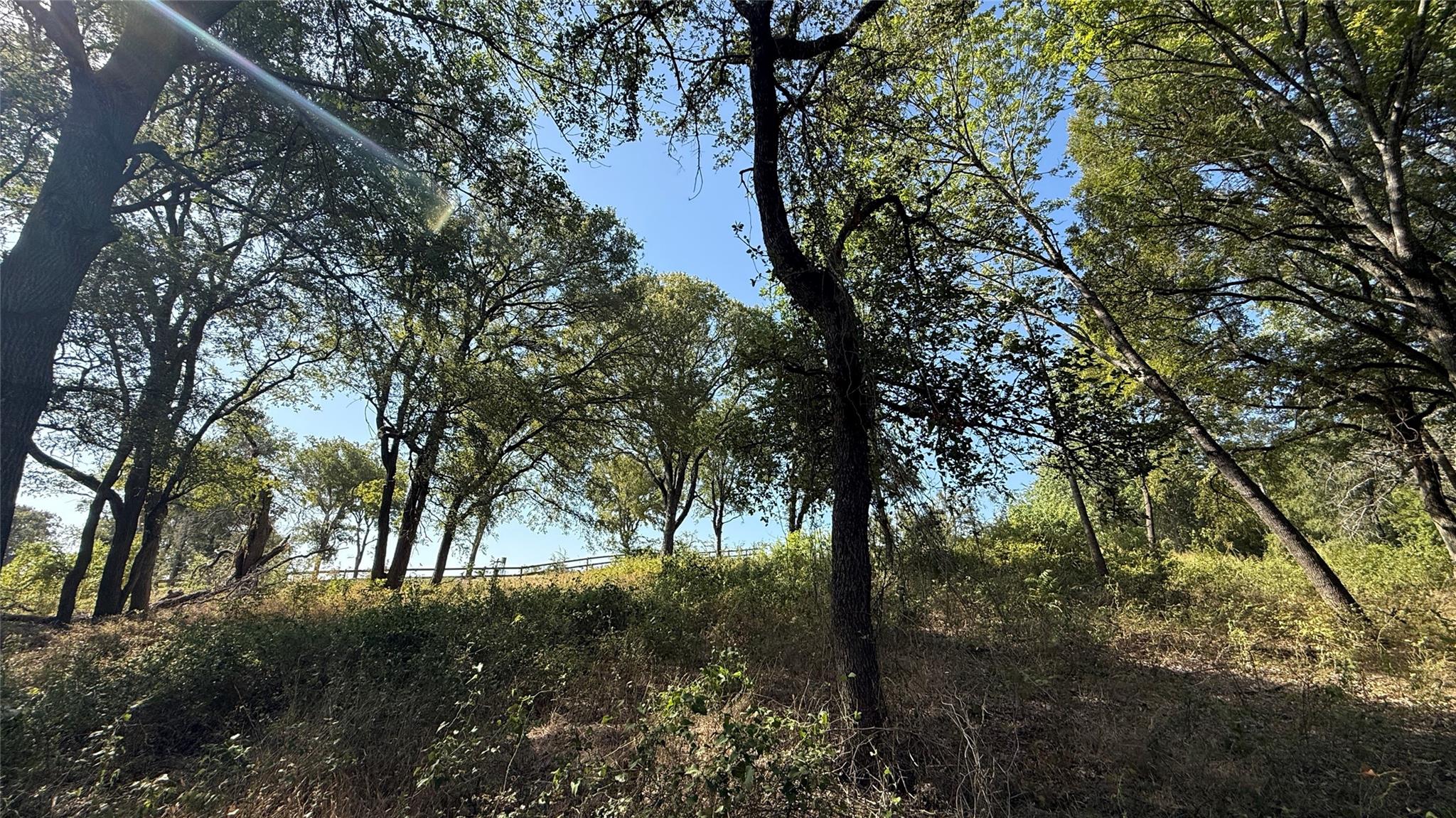 main property photo 17