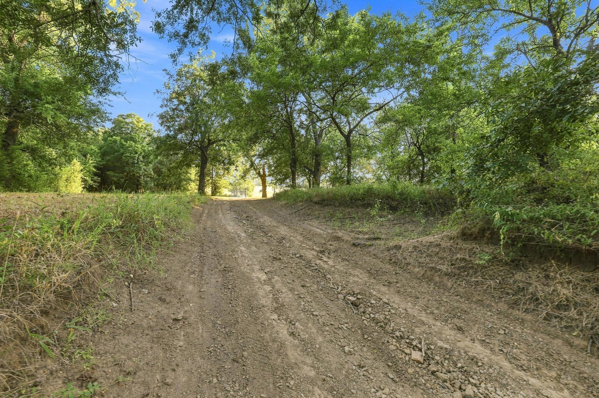main property photo 10