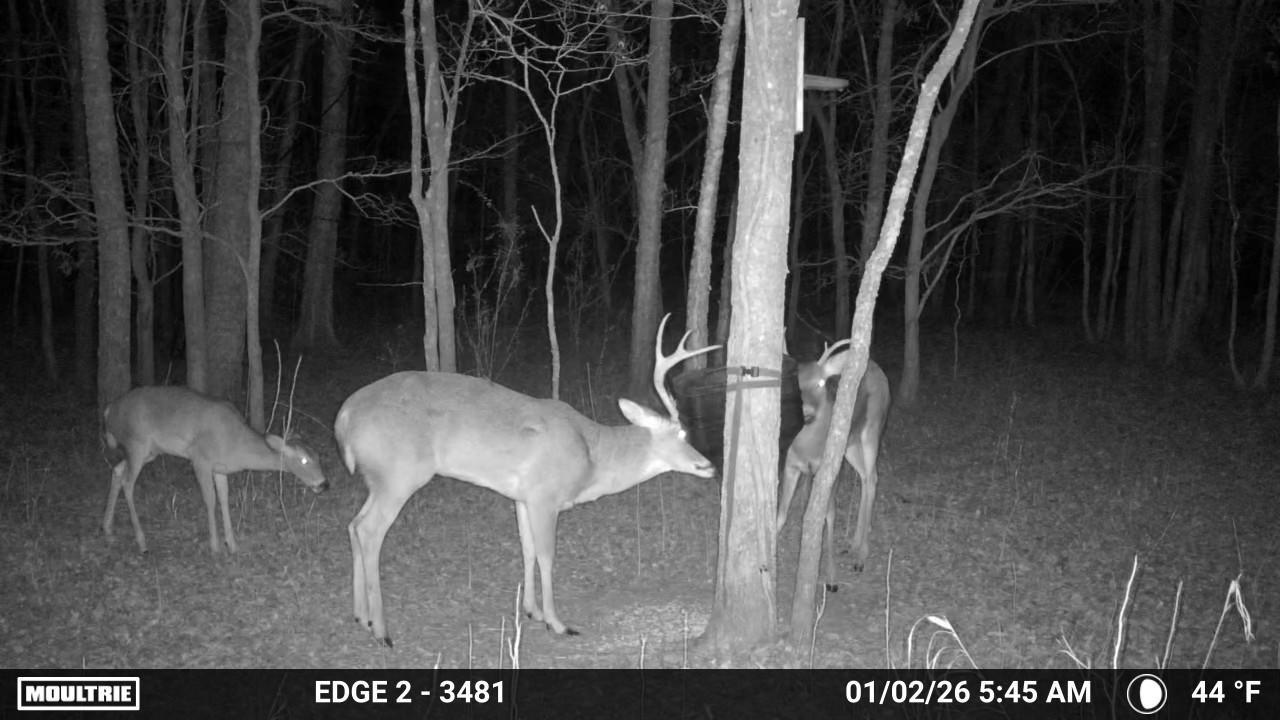 main property photo 18