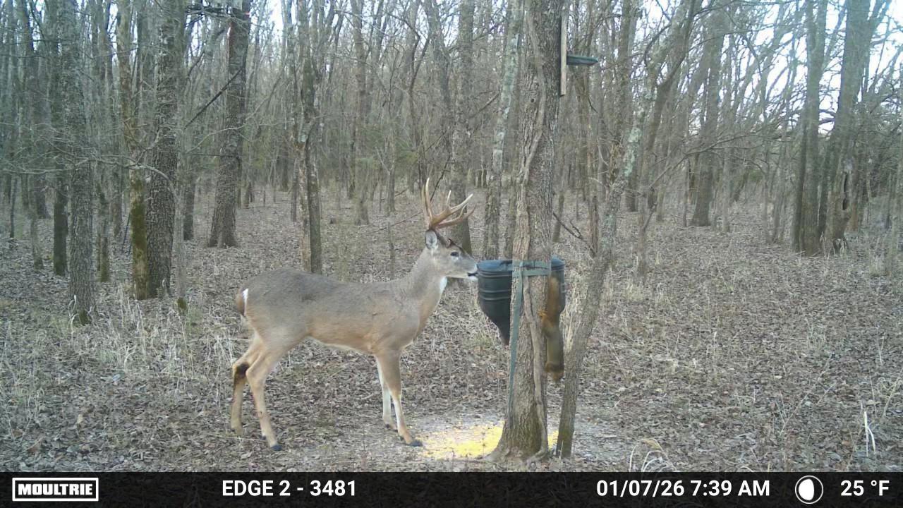 main property photo 20