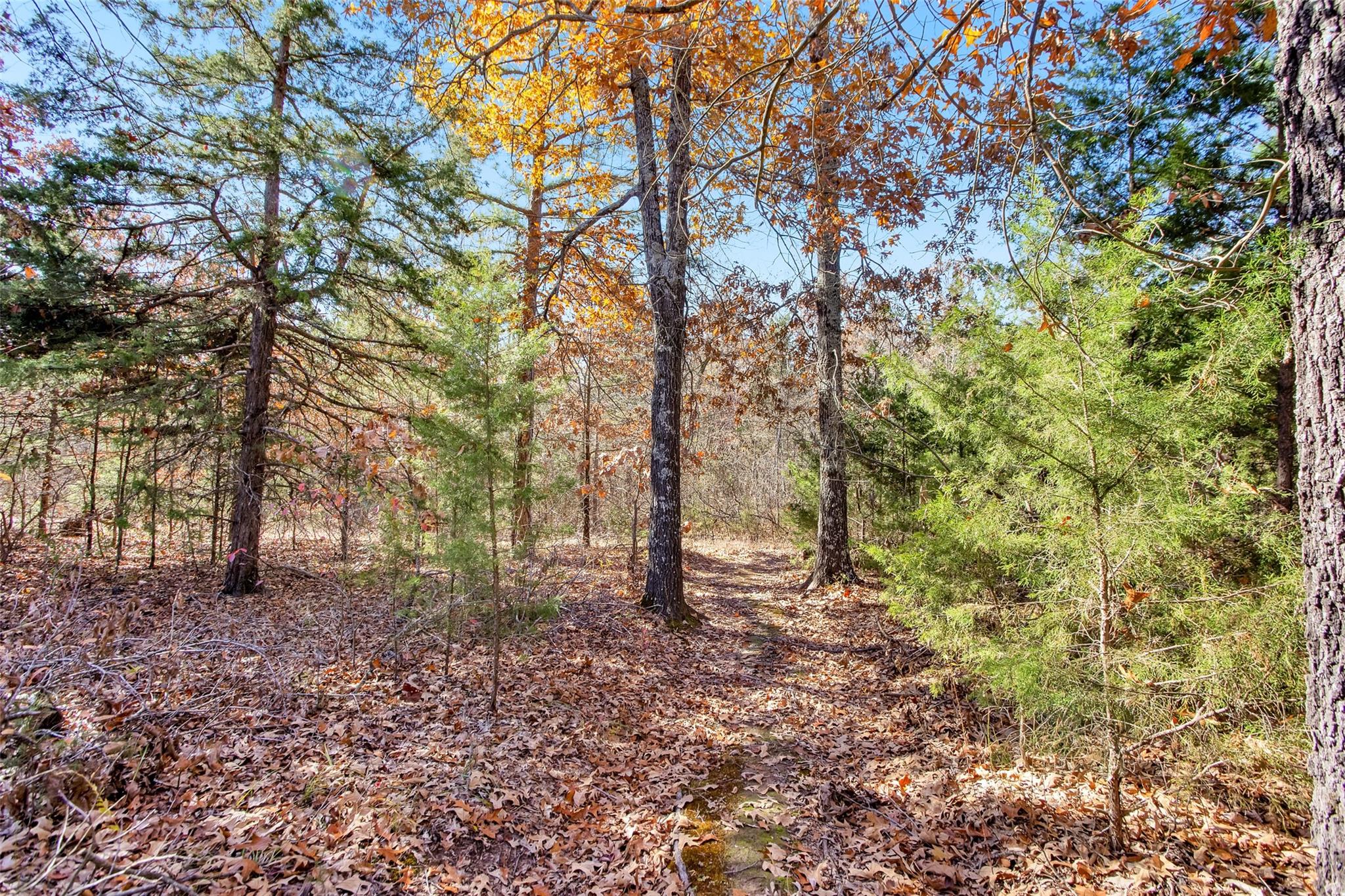 main property photo 17