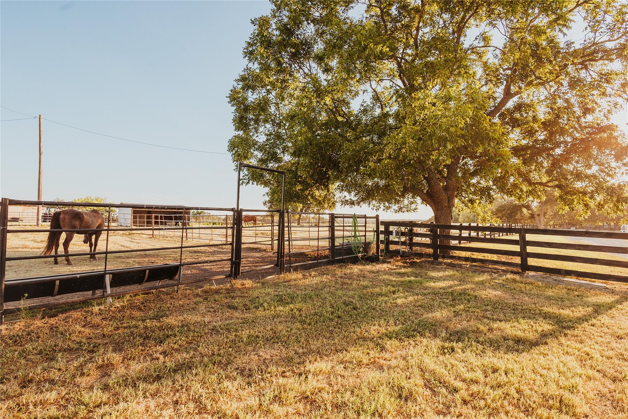 main property photo 23