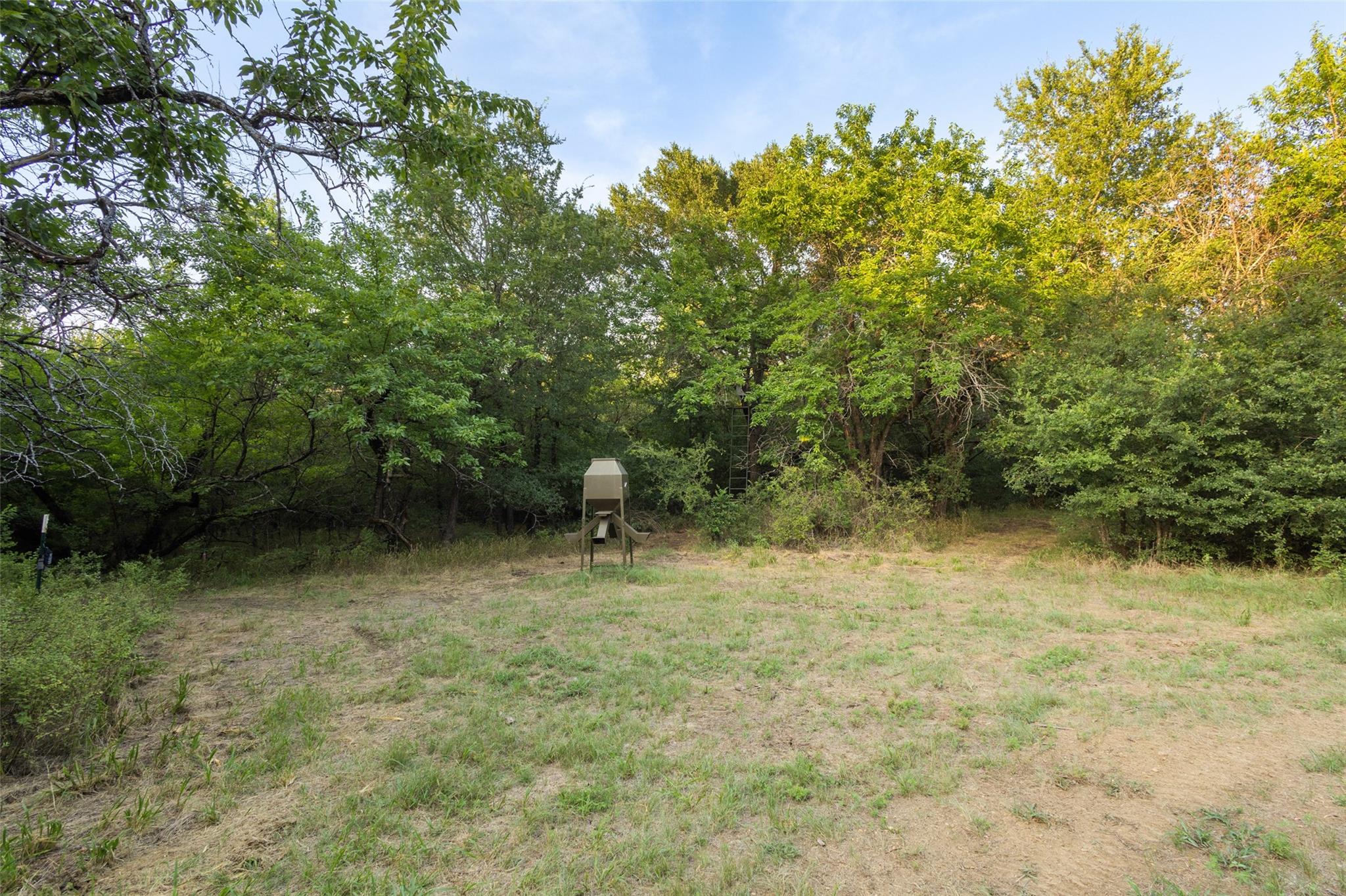 main property photo 23