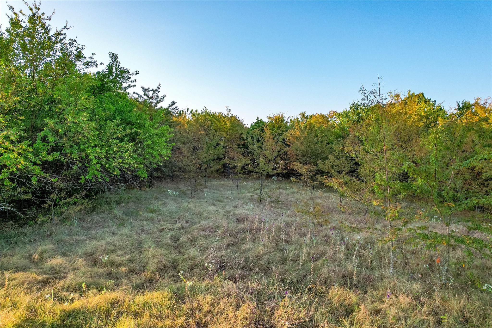 main property photo 35