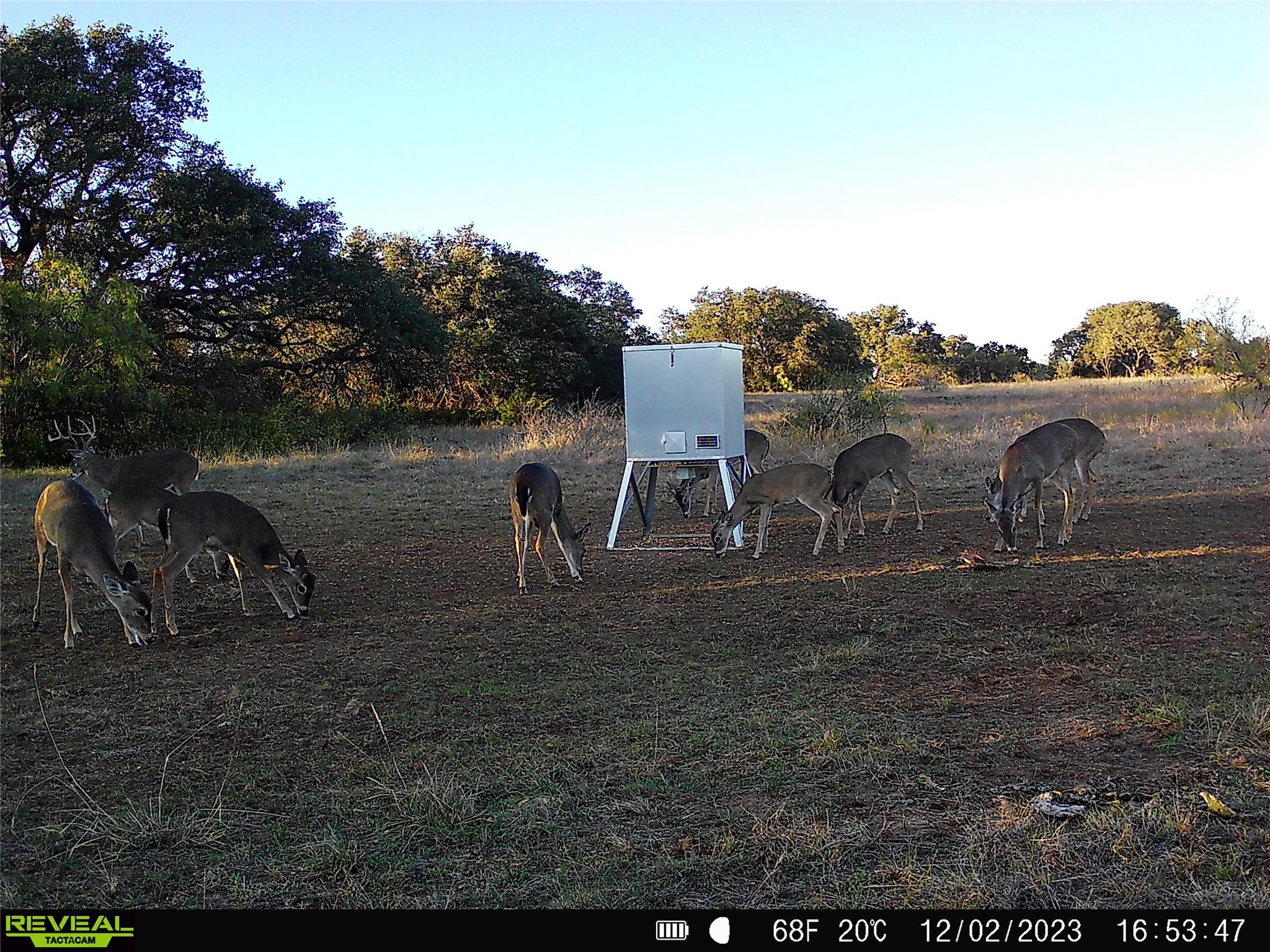 main property photo 28