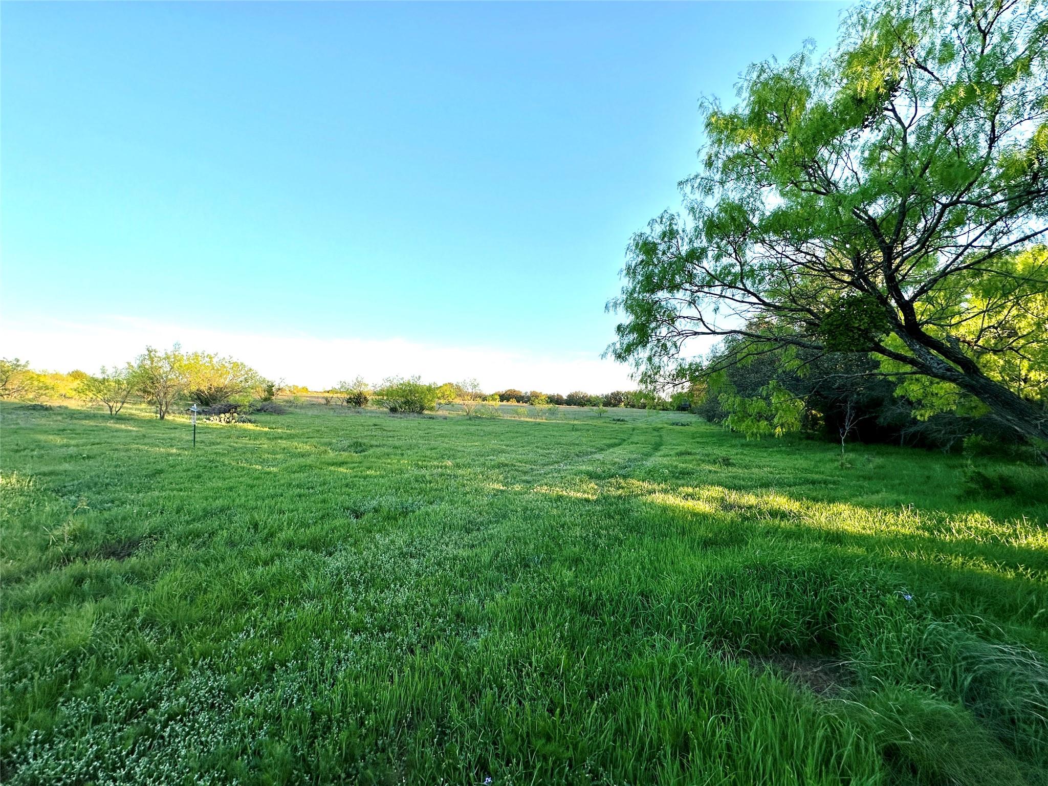 main property photo 37