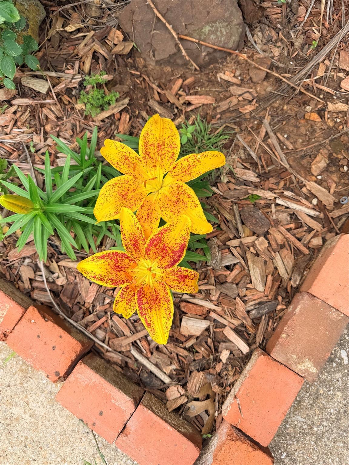 main property photo 27