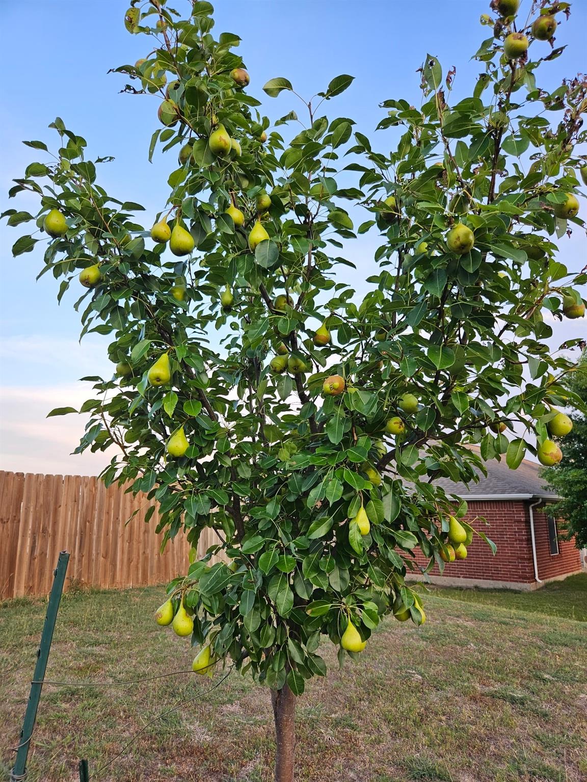 main property photo 36