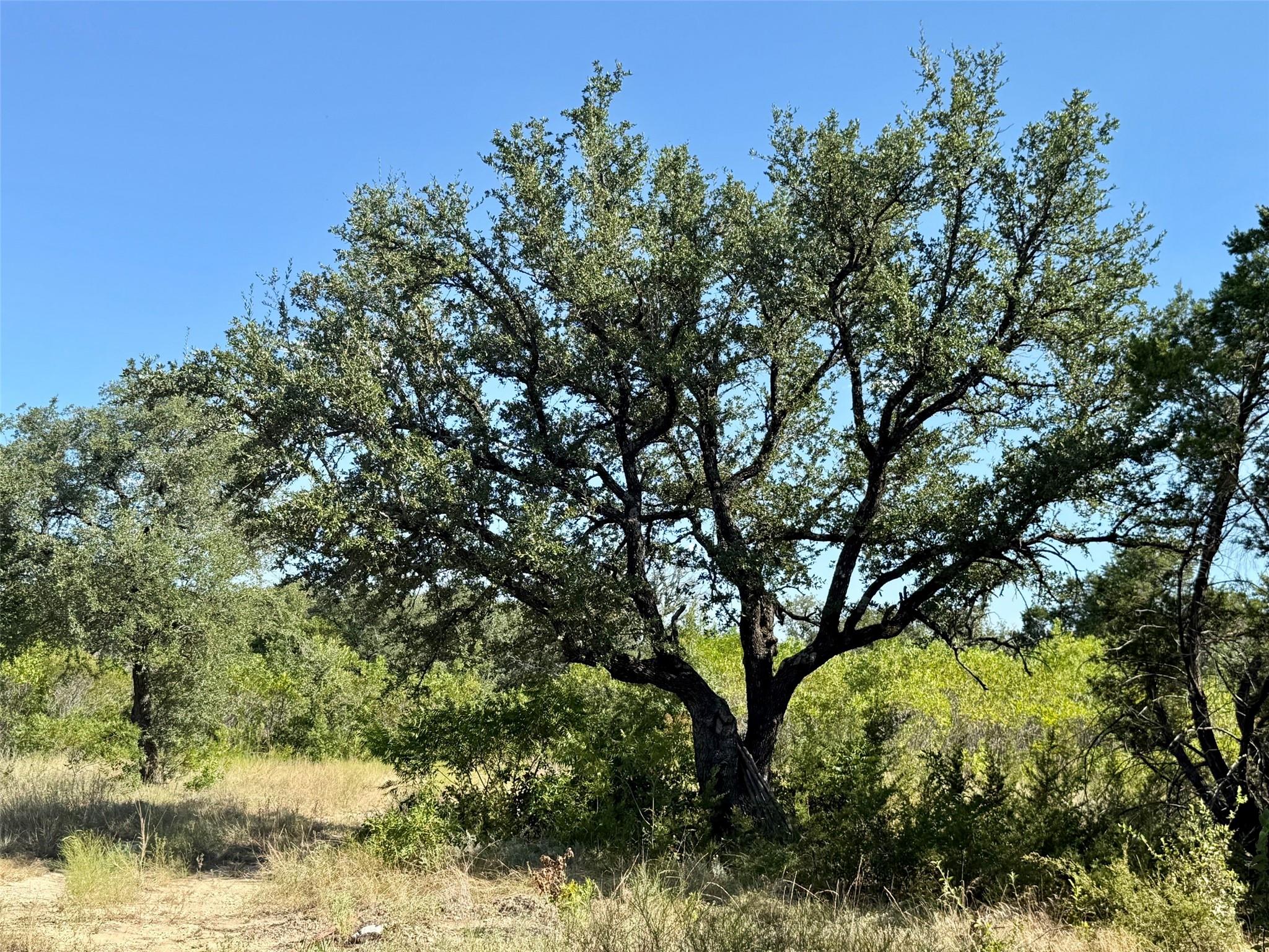 main property photo 35