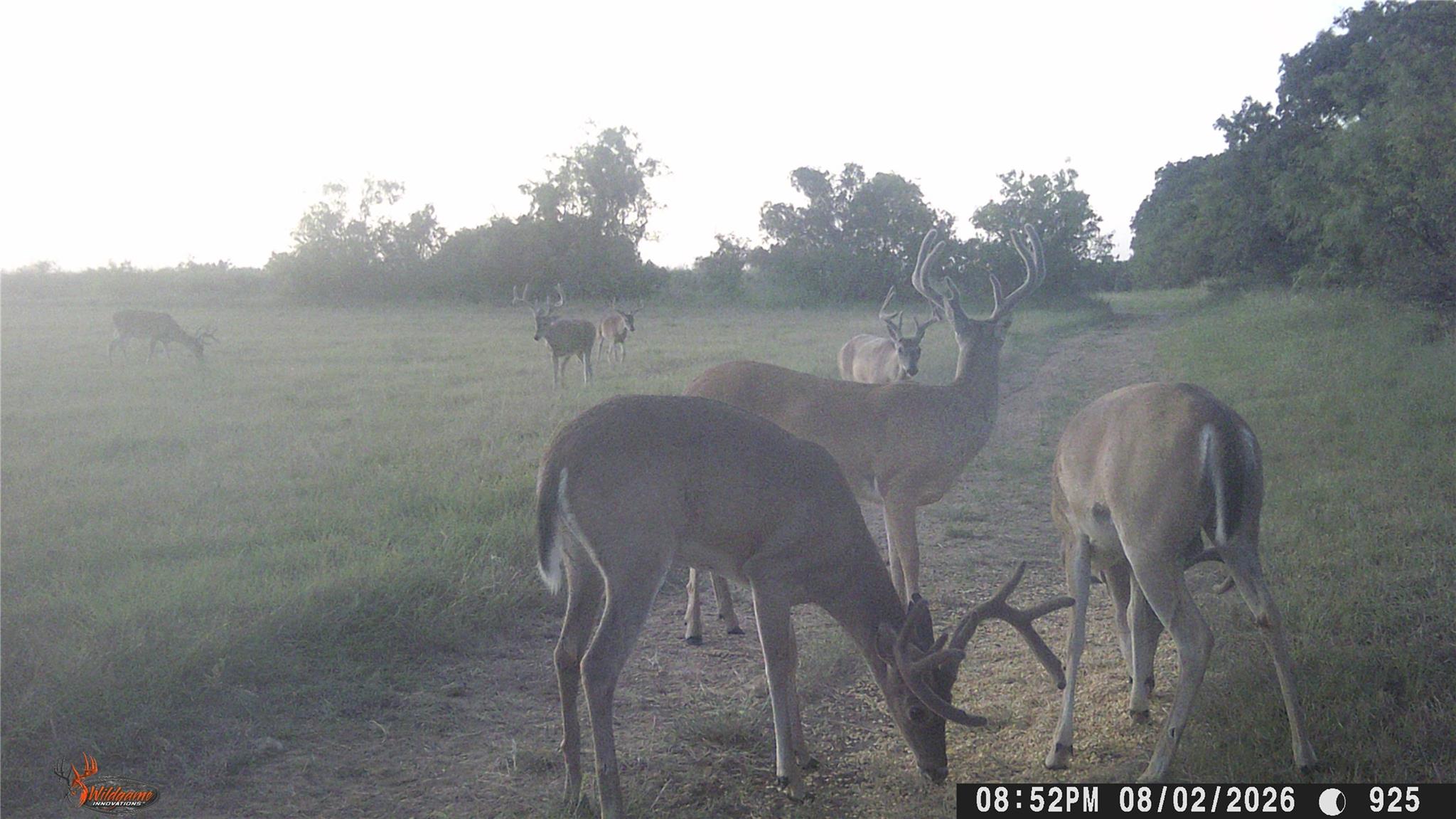 main property photo 37