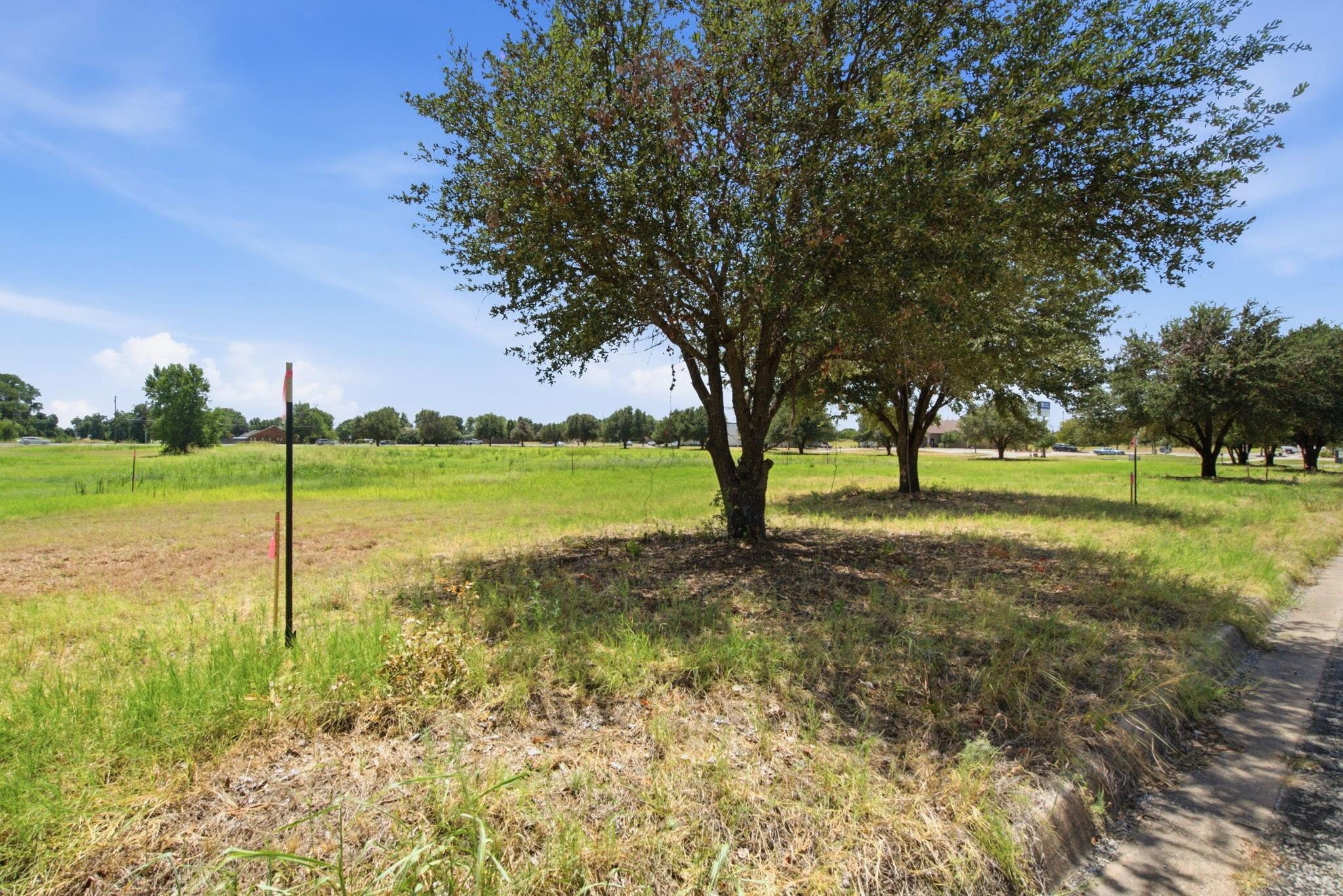 main property photo 11