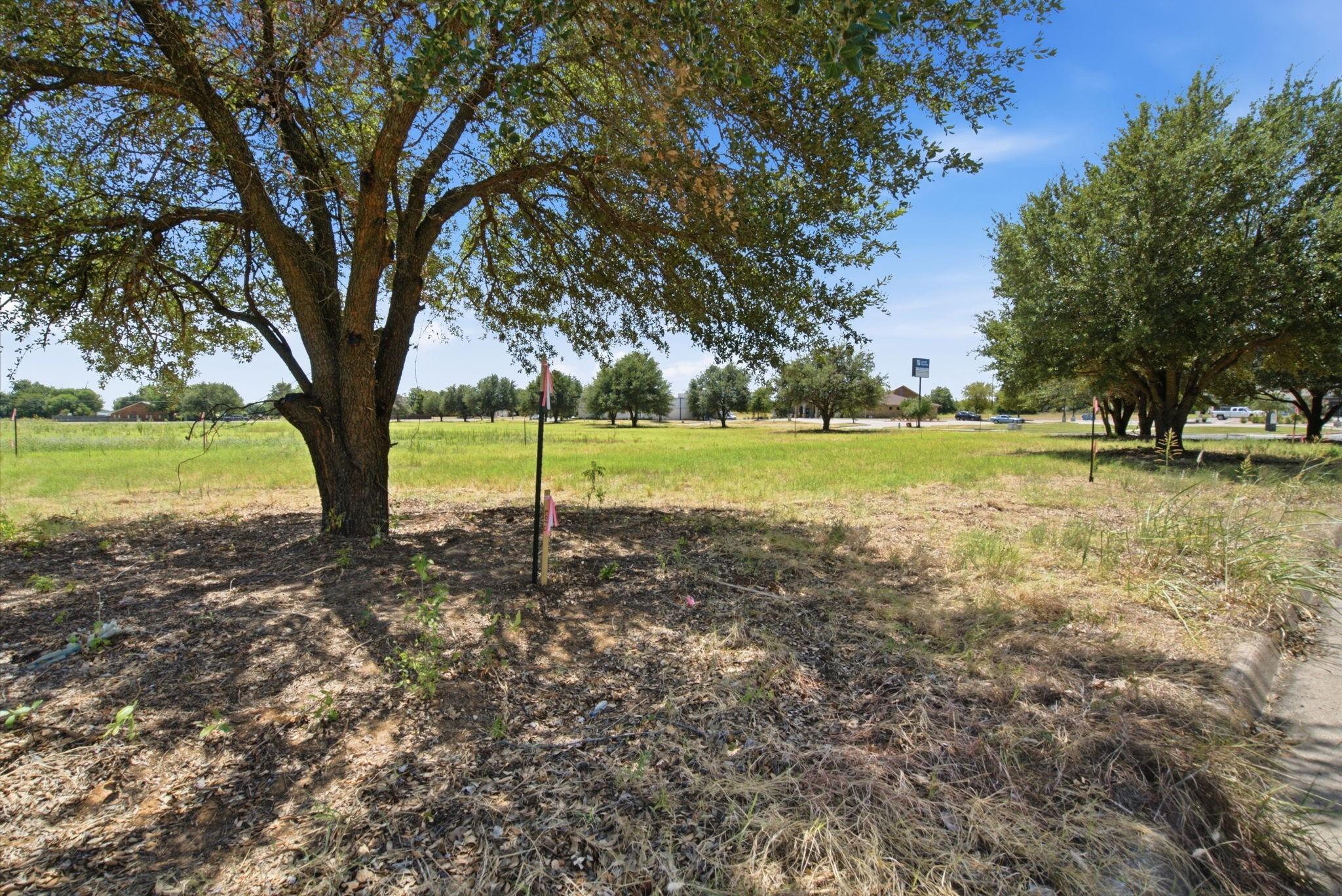 main property photo 11