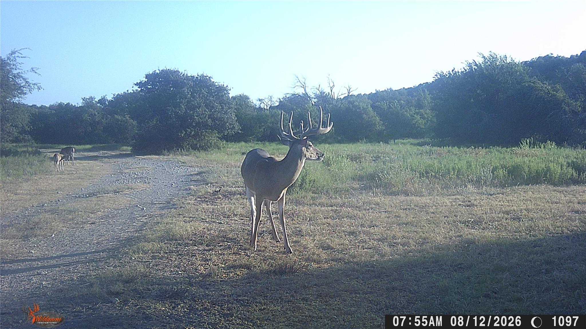 main property photo 36