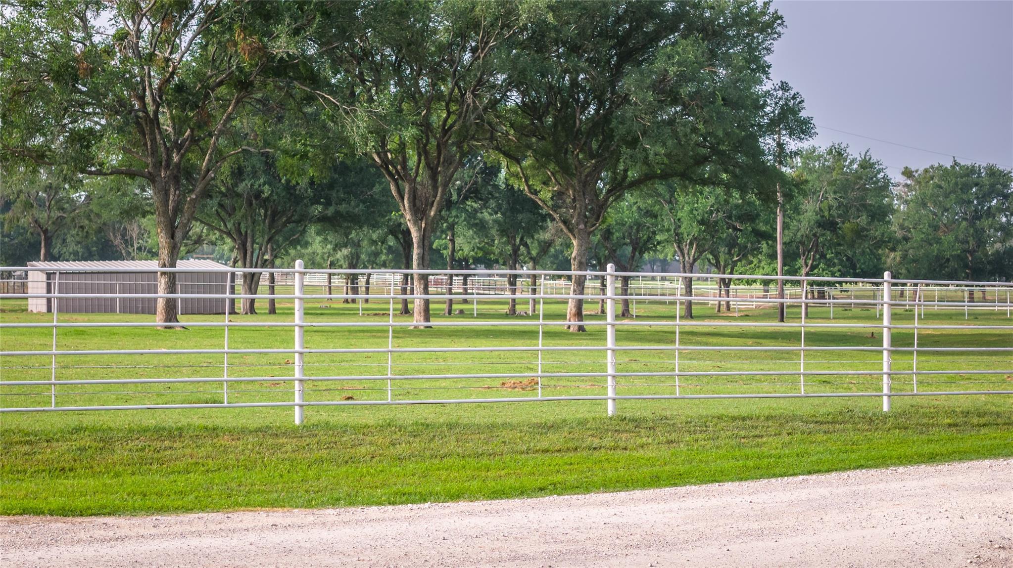 main property photo 27