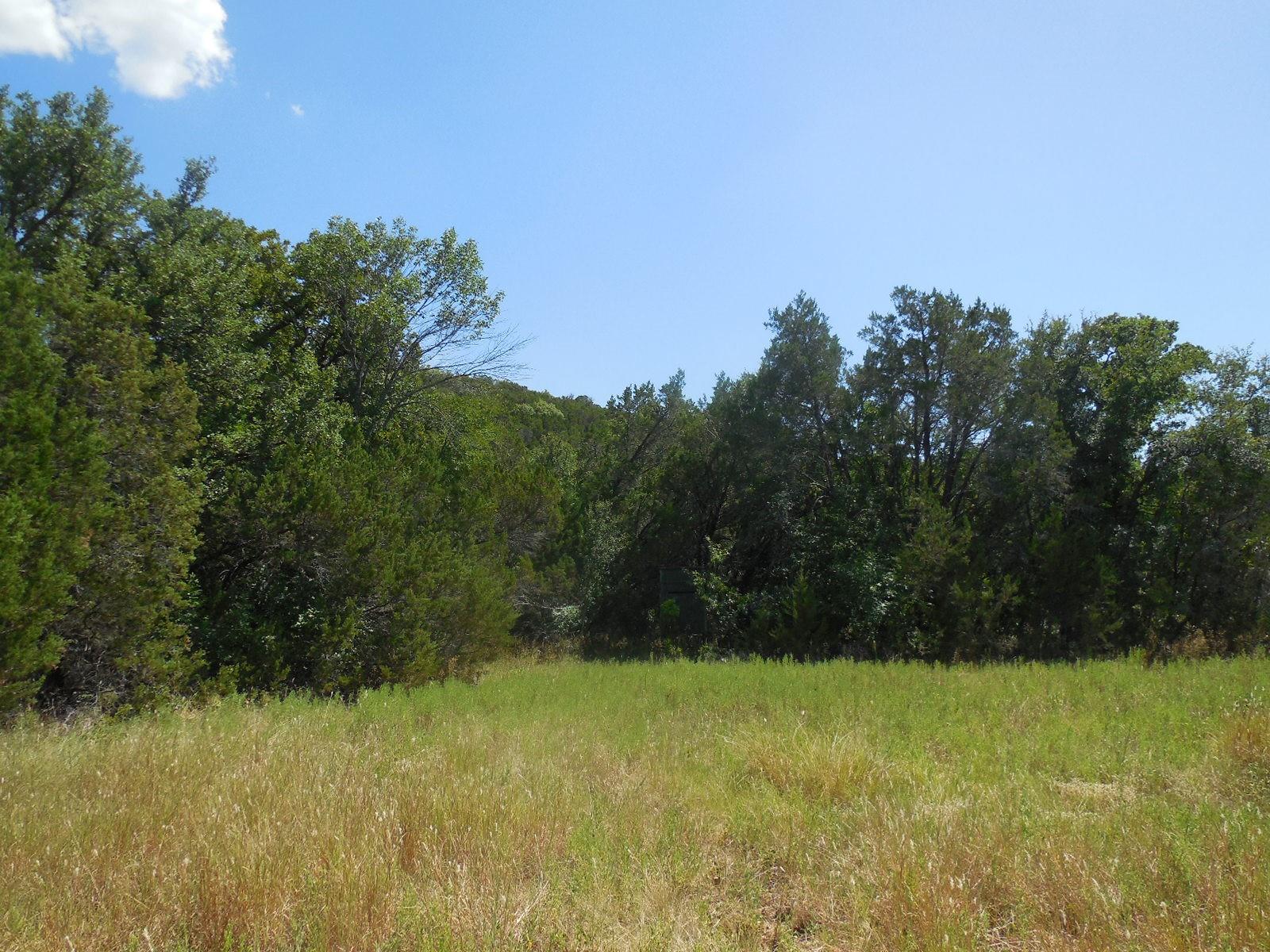 main property photo 10