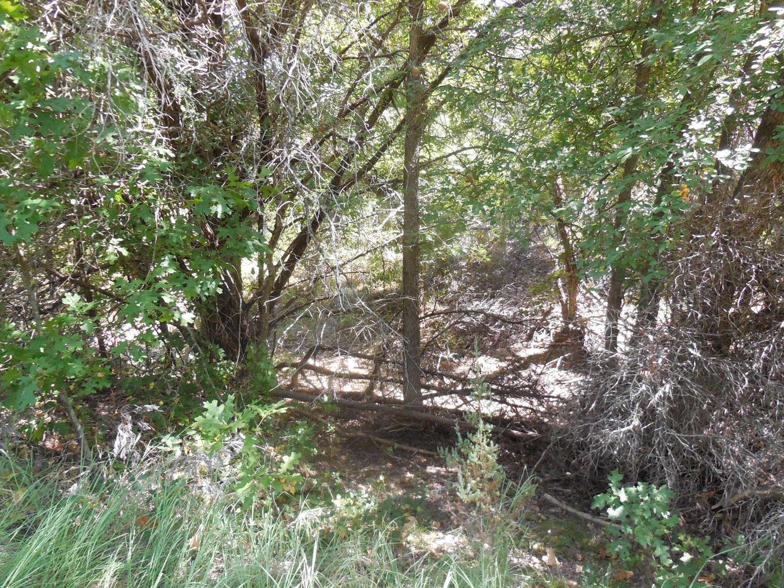 main property photo 11