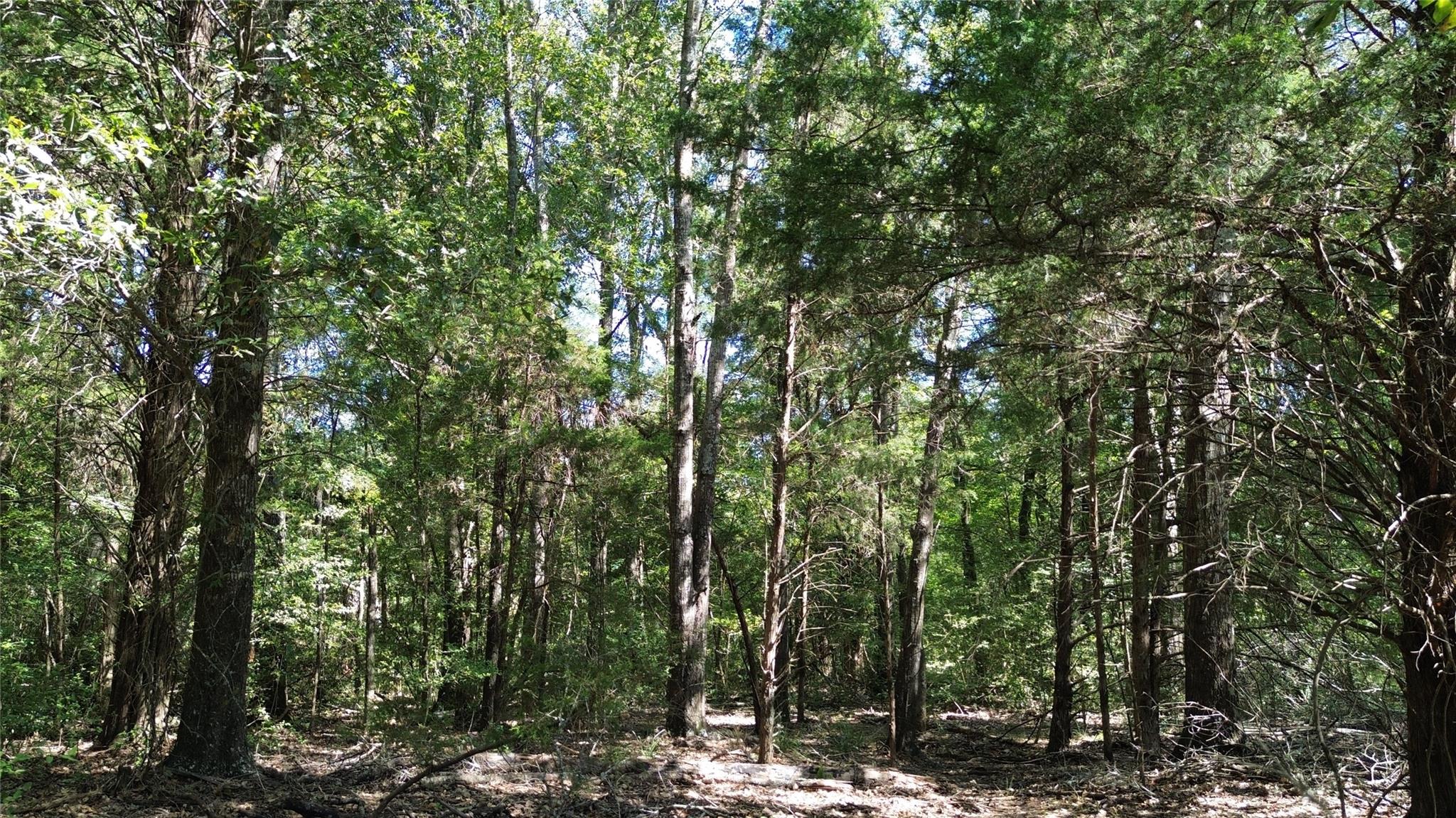 main property photo 11