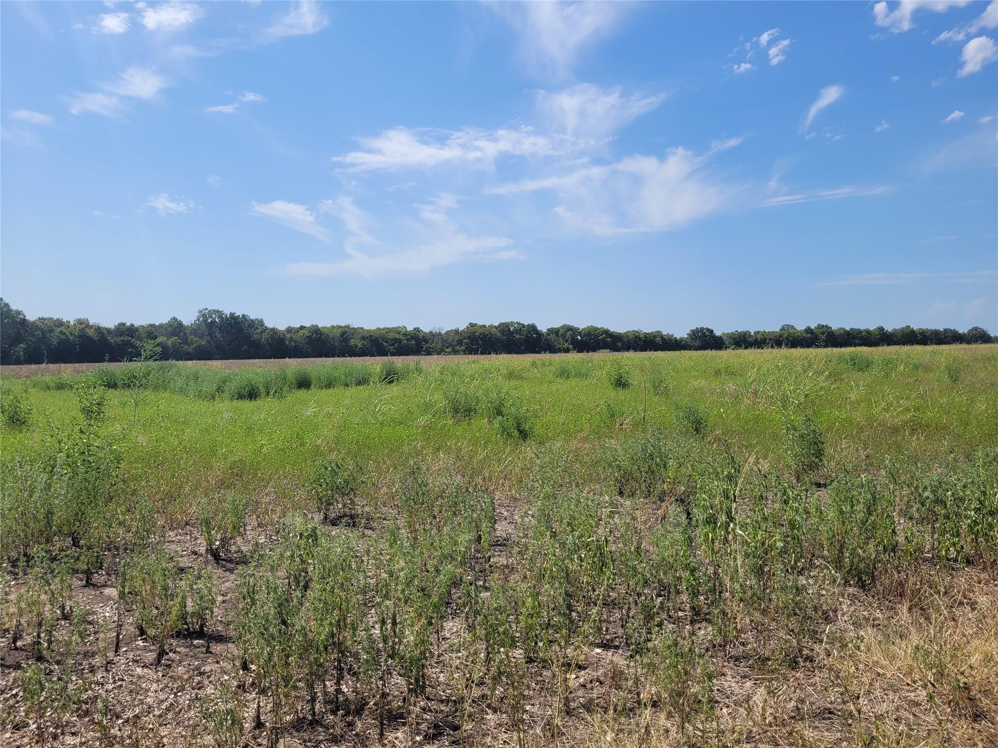 main property photo 10