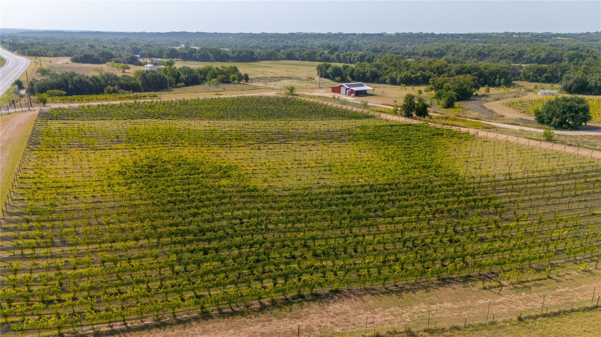 main property photo 32