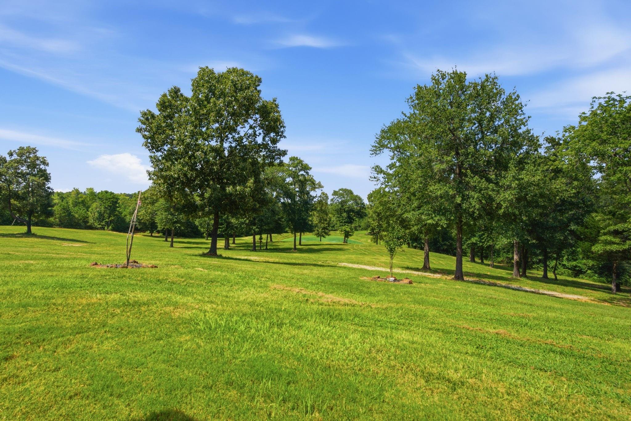 main property photo 29