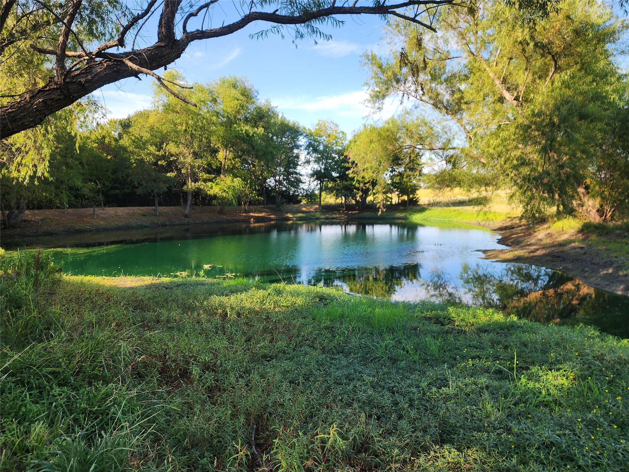 main property photo 6