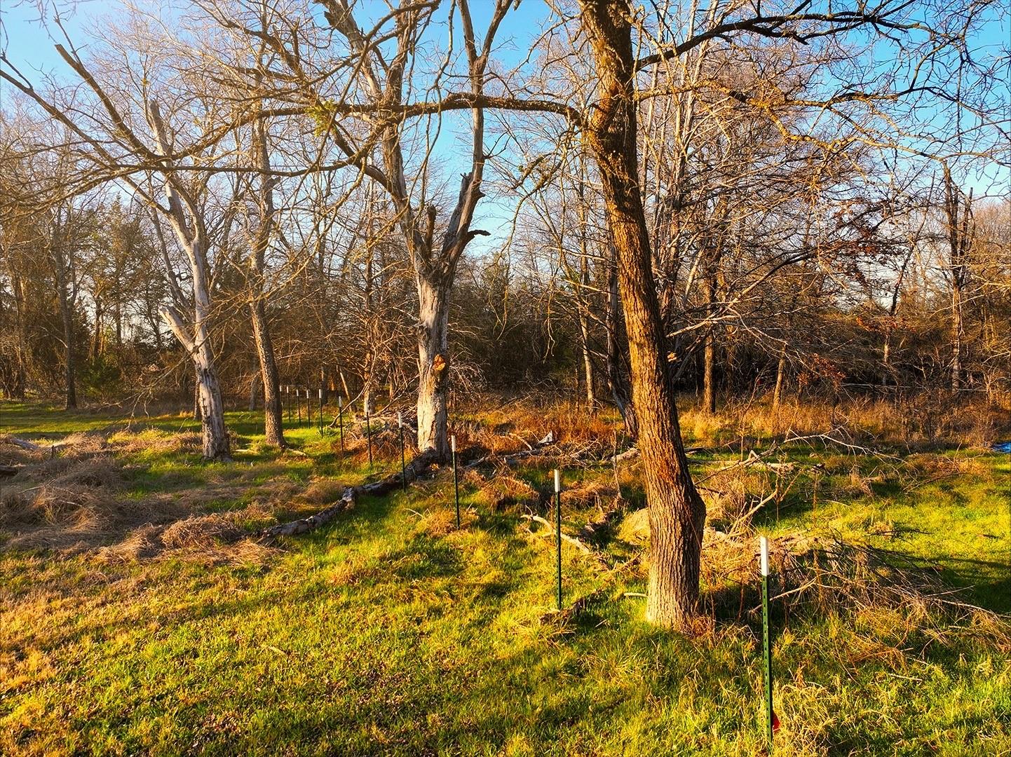 main property photo 7