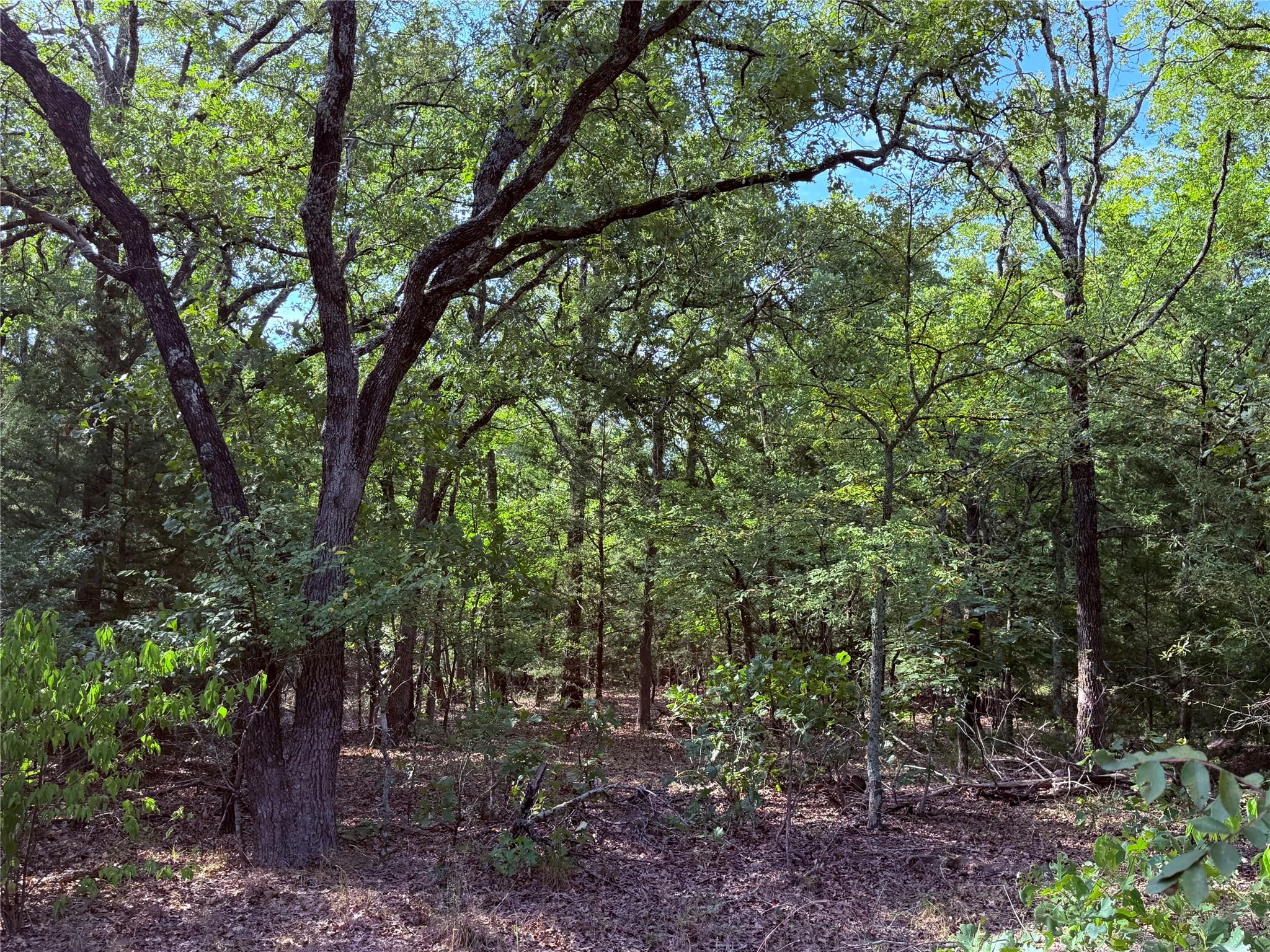 main property photo 27