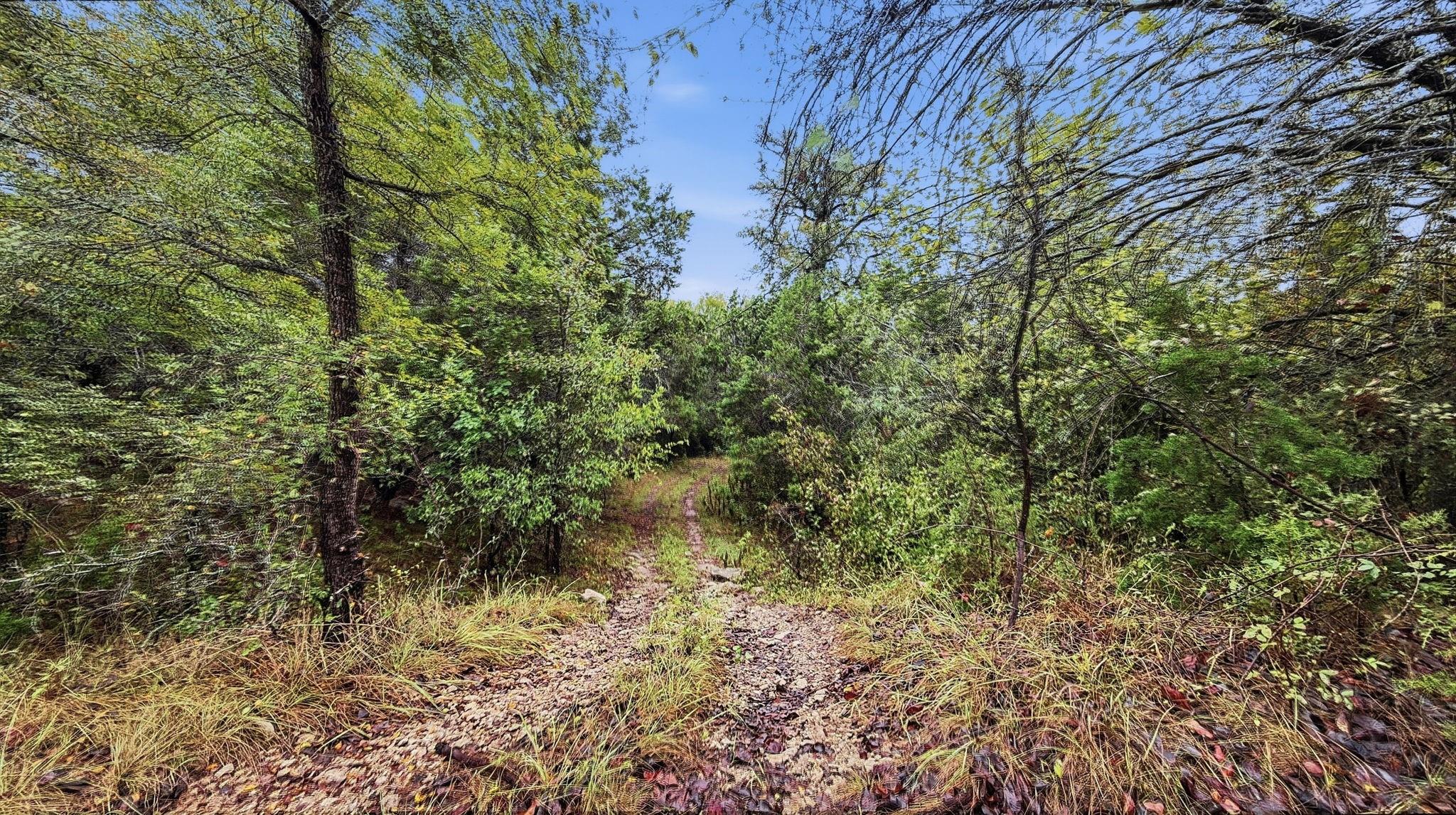 main property photo 28