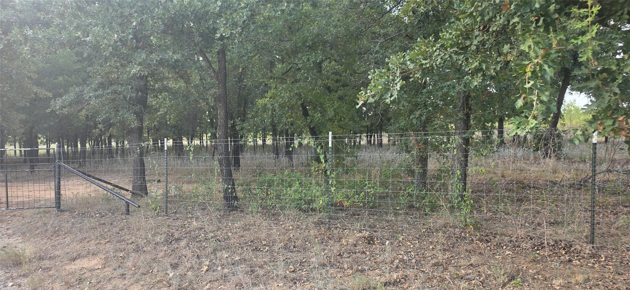 main property photo 11
