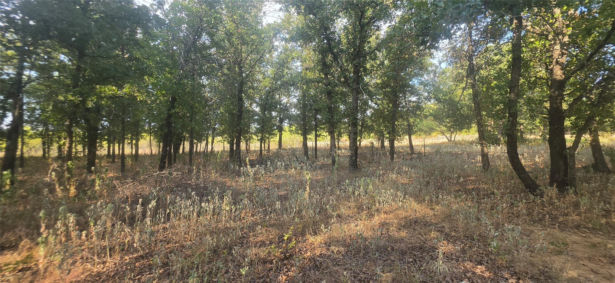 main property photo 13