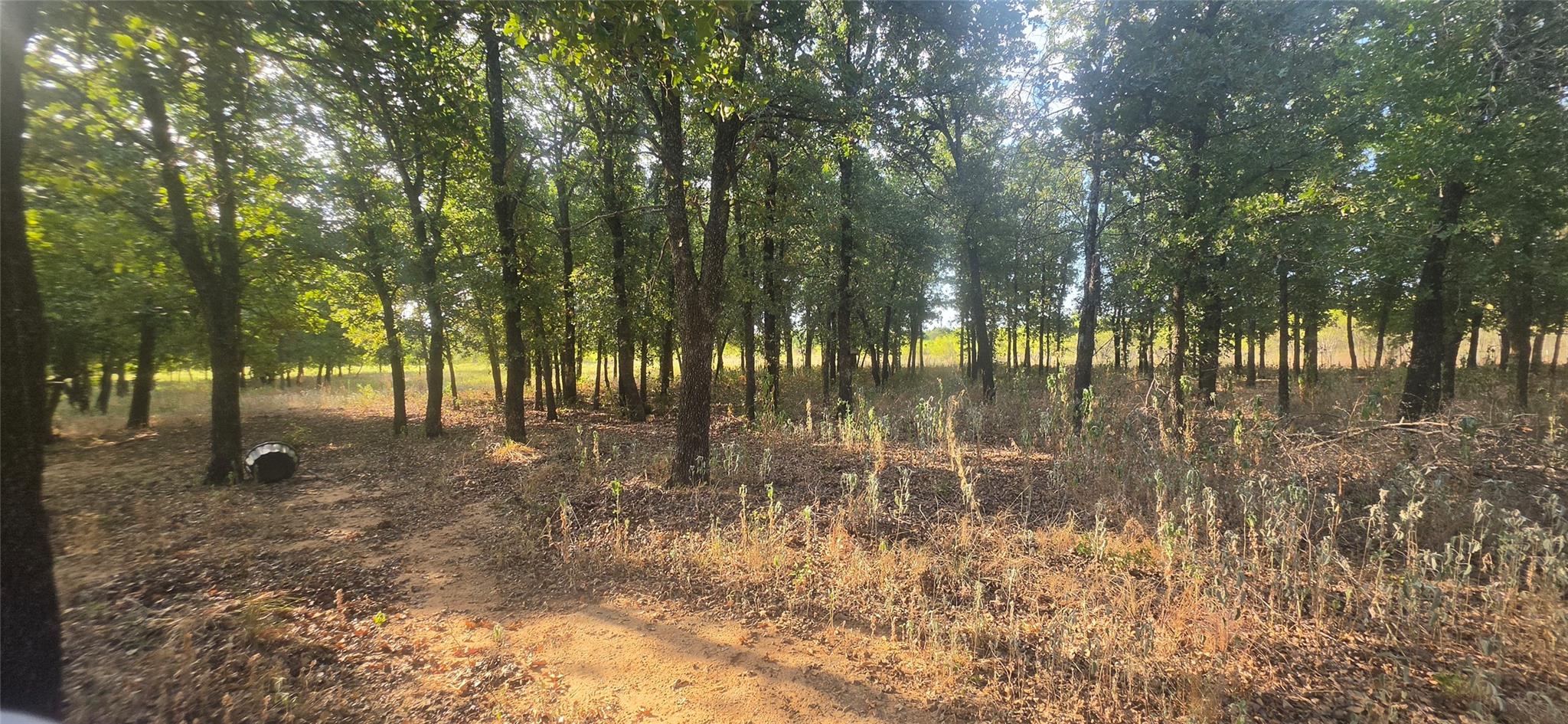 main property photo 16