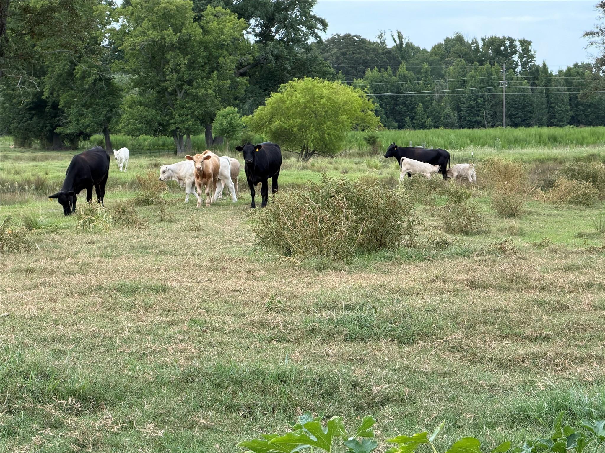 main property photo 14