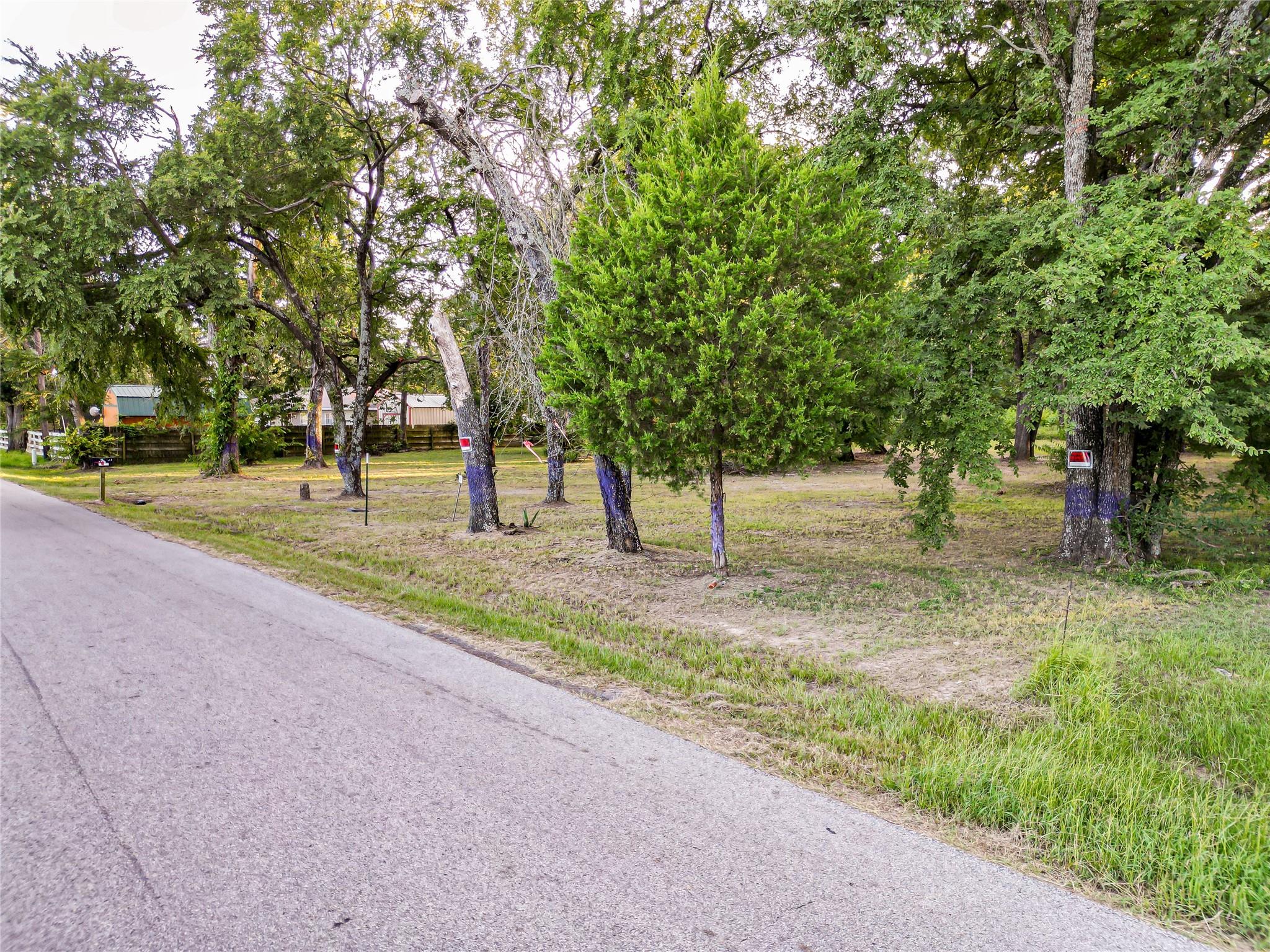 main property photo 10