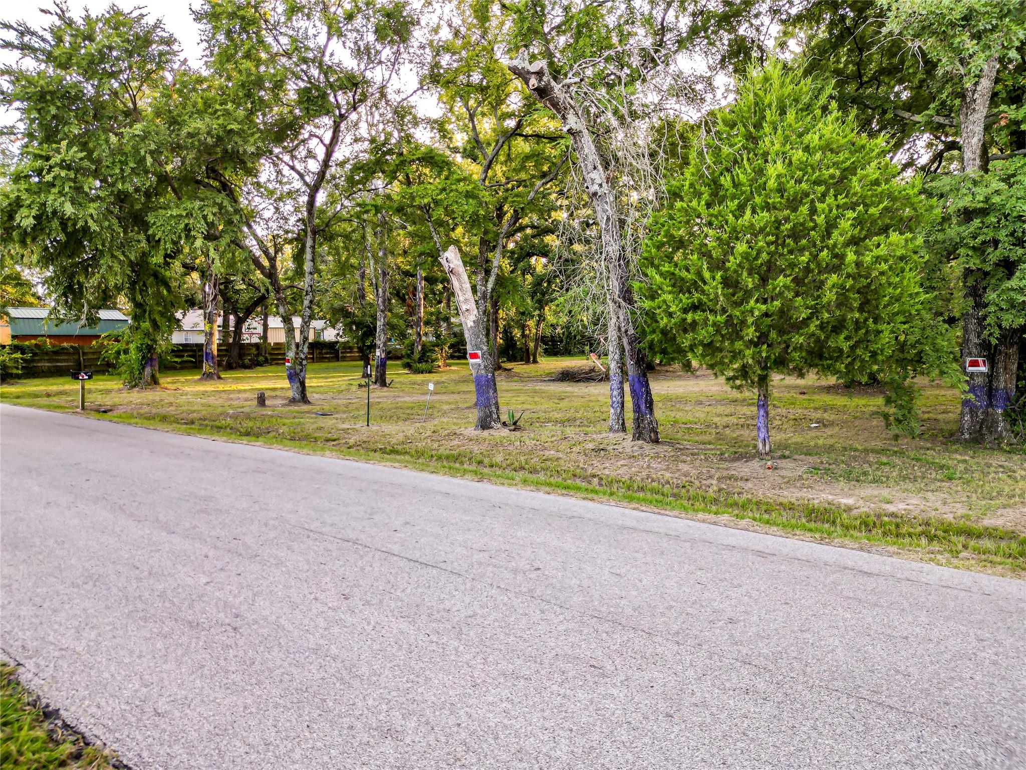 main property photo 11