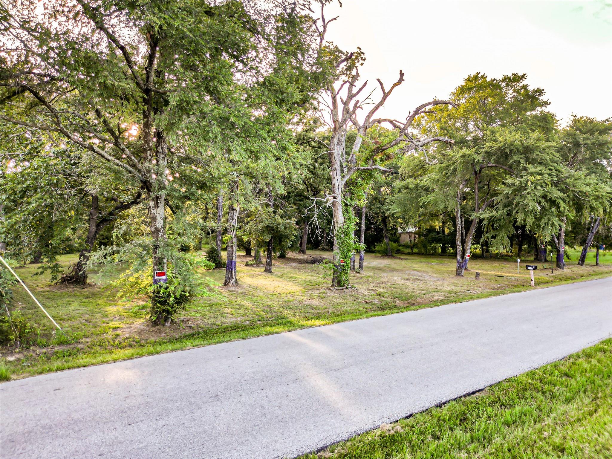 main property photo 19