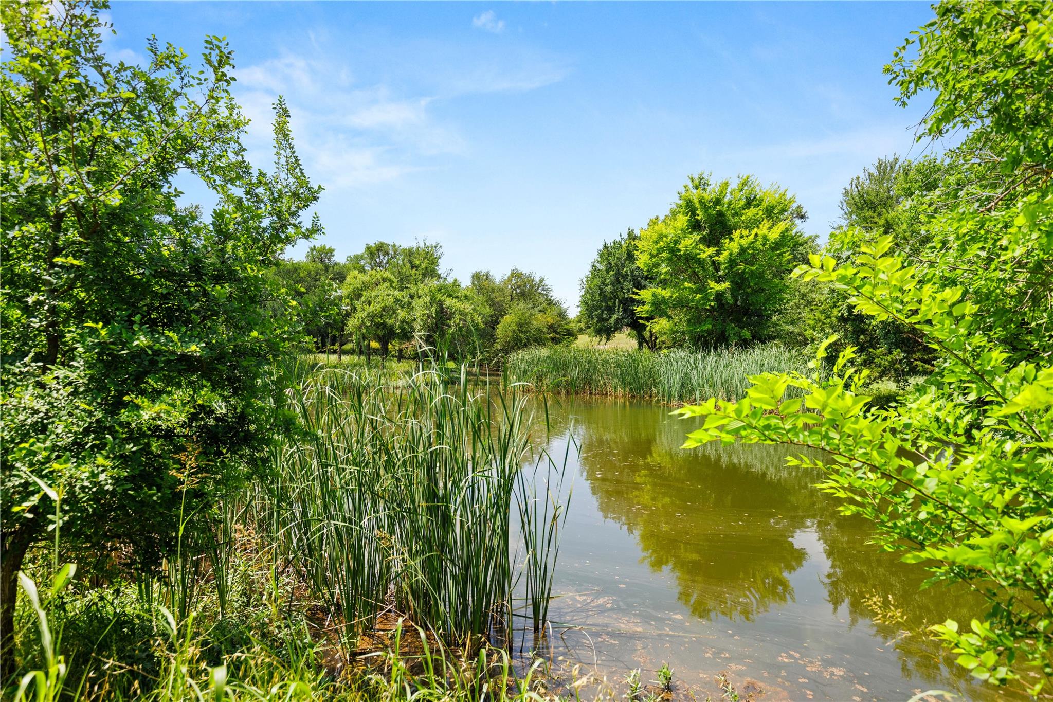 main property photo 11